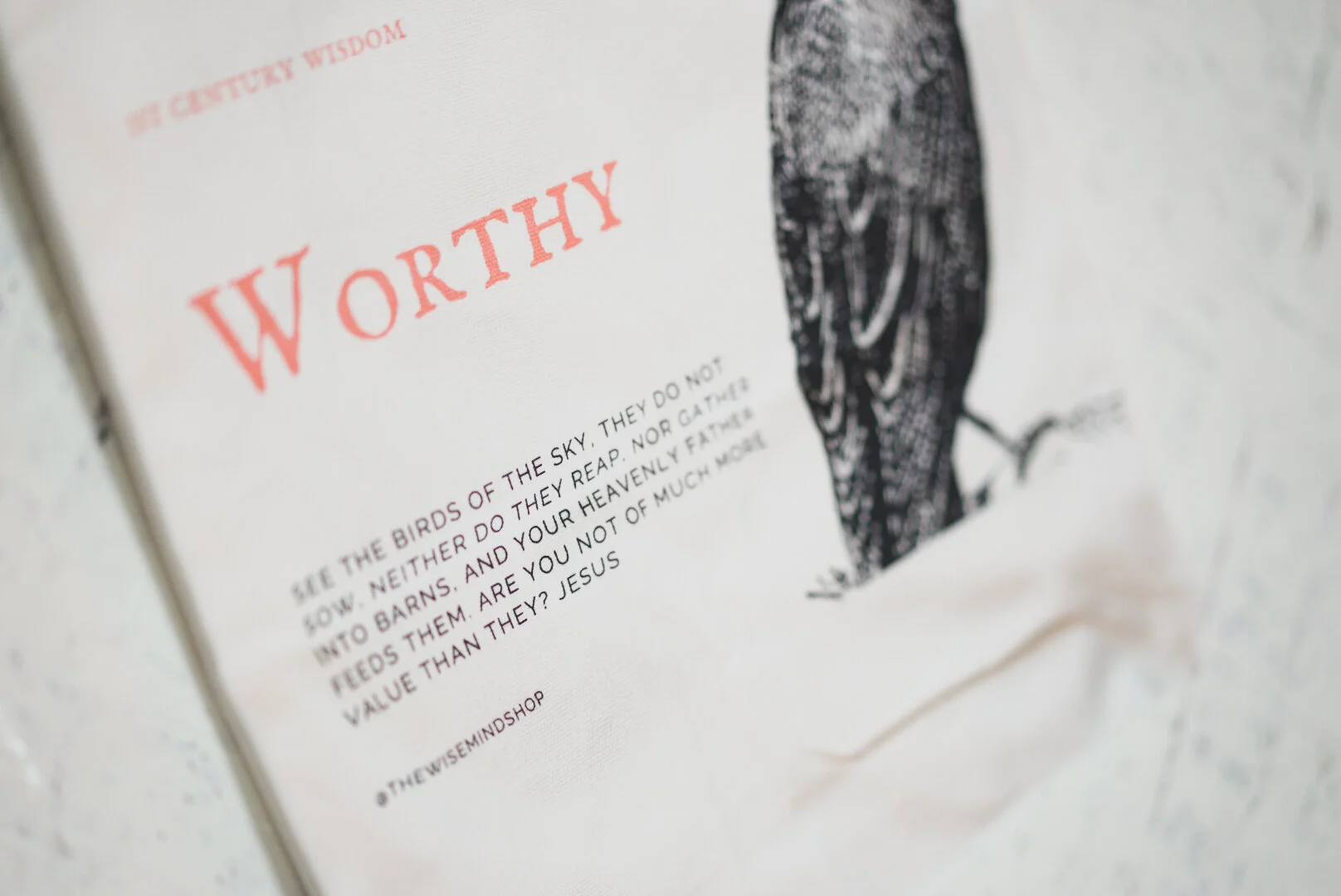 CC166BFF-77B6-4D63-ACC1-EBC6804FD6B7