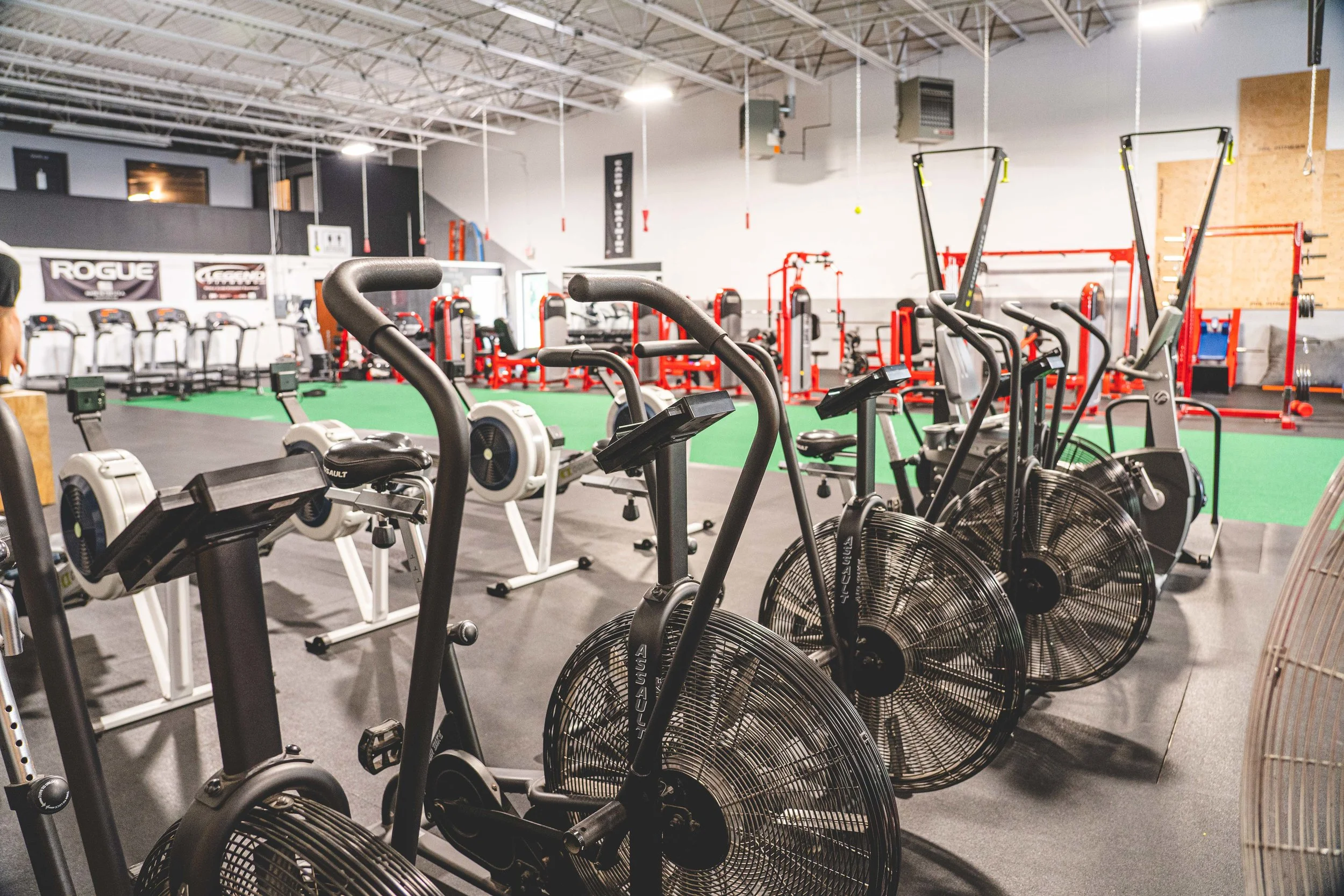 Gallery — Traverse City