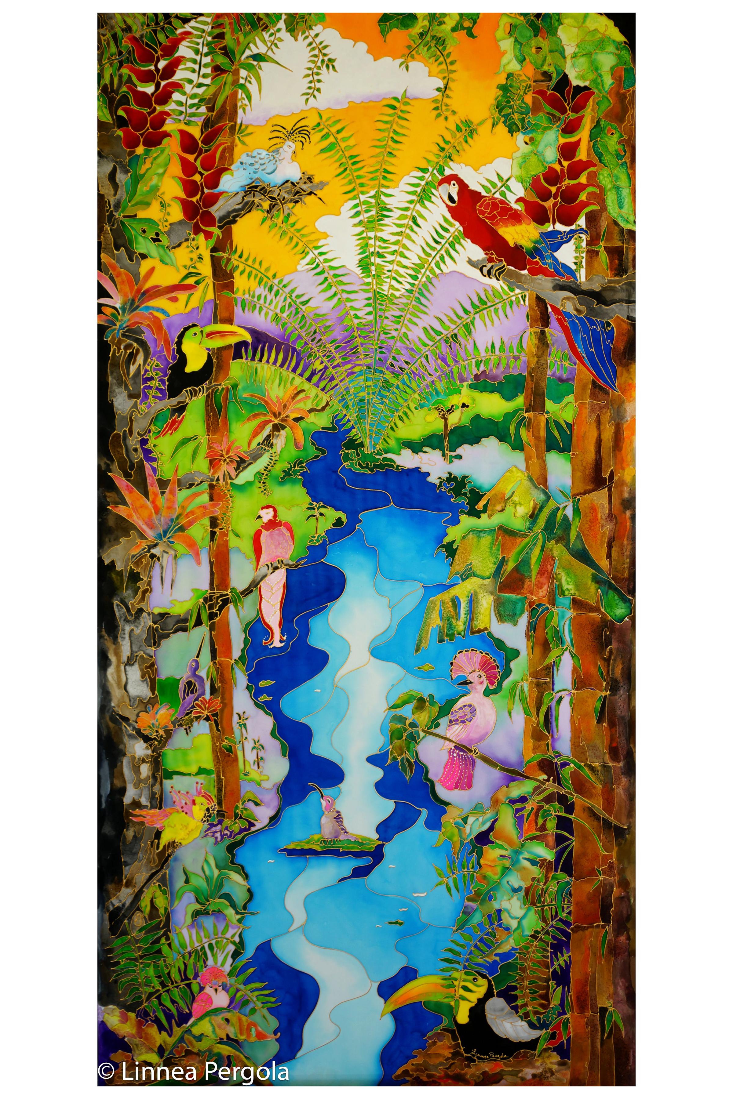 A Day in the Rainforest SP.jpg