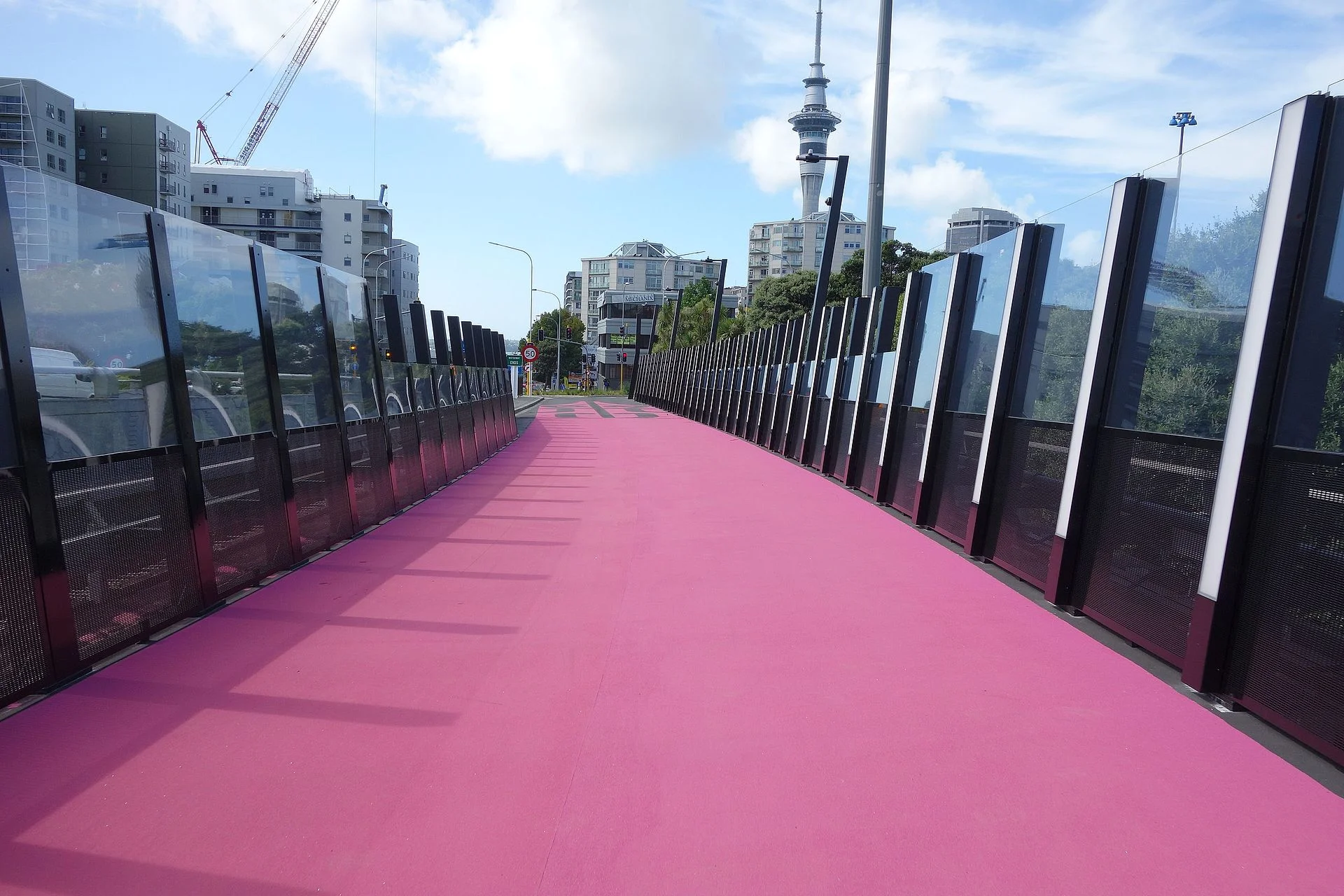 Nelson_Street_Cycleway_030.JPG