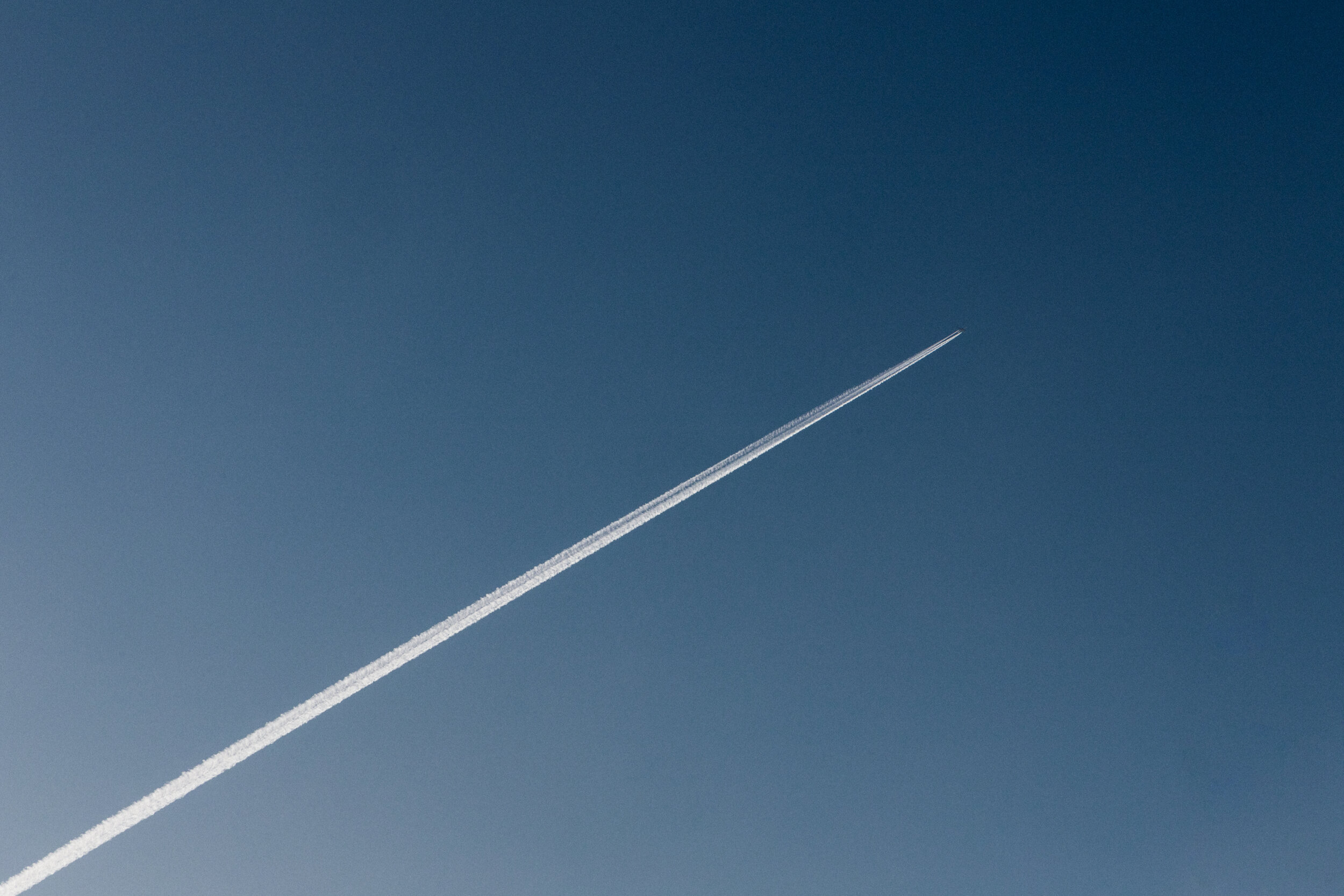 Untitled (flight)