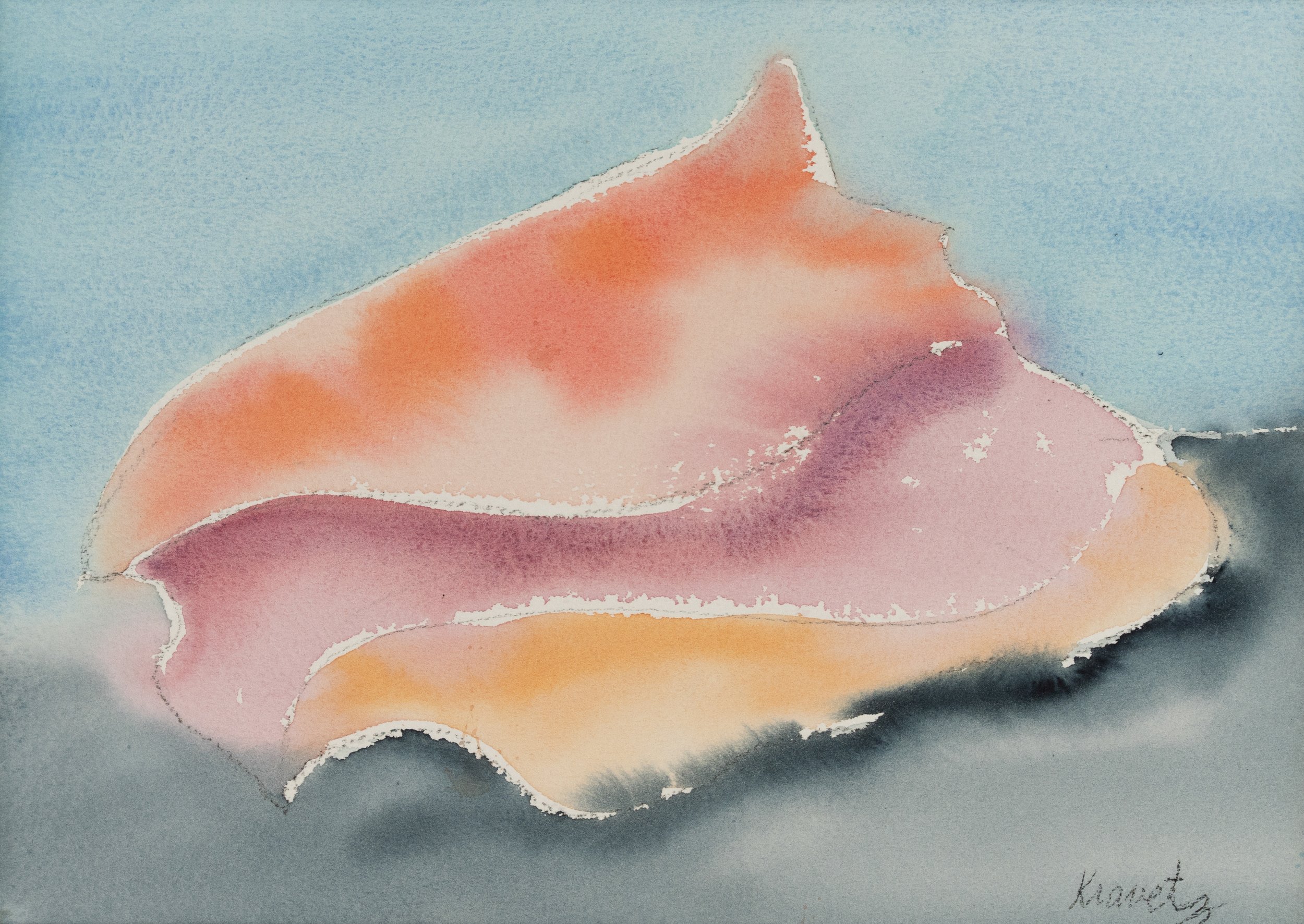 Conch II, 2013, watercolor, 16x20 inches with mat