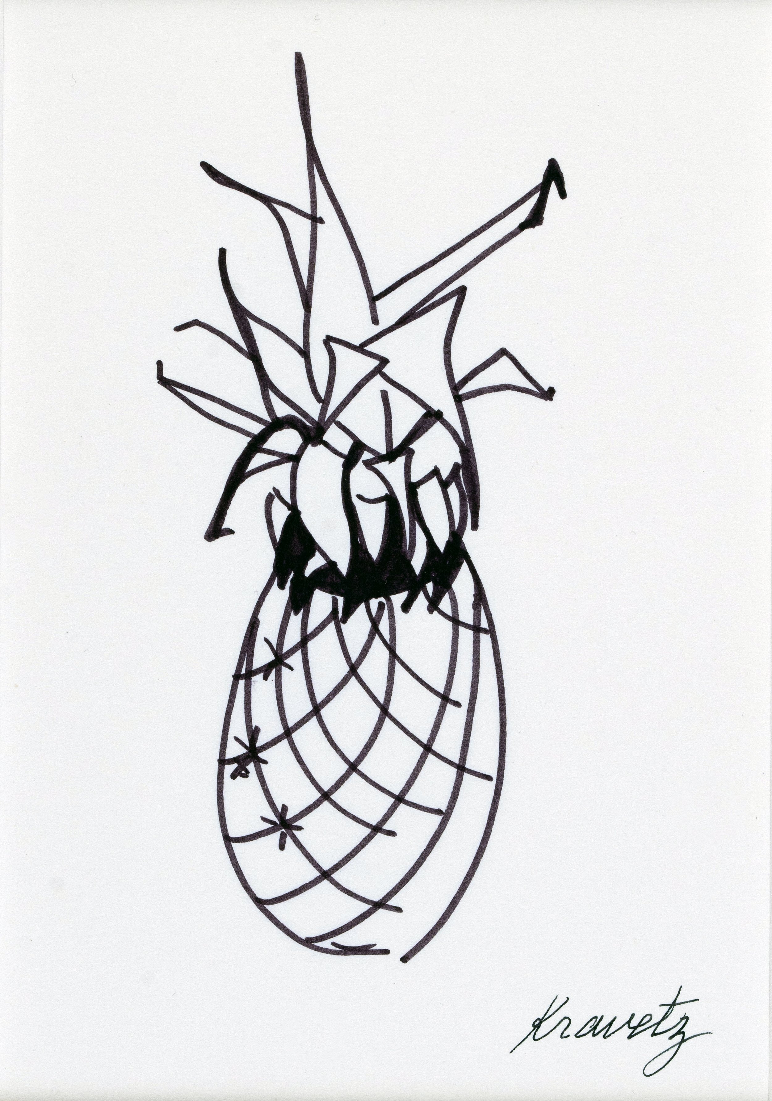 Pineapple V, 1986, ink on paper, 14x11 inches with mat