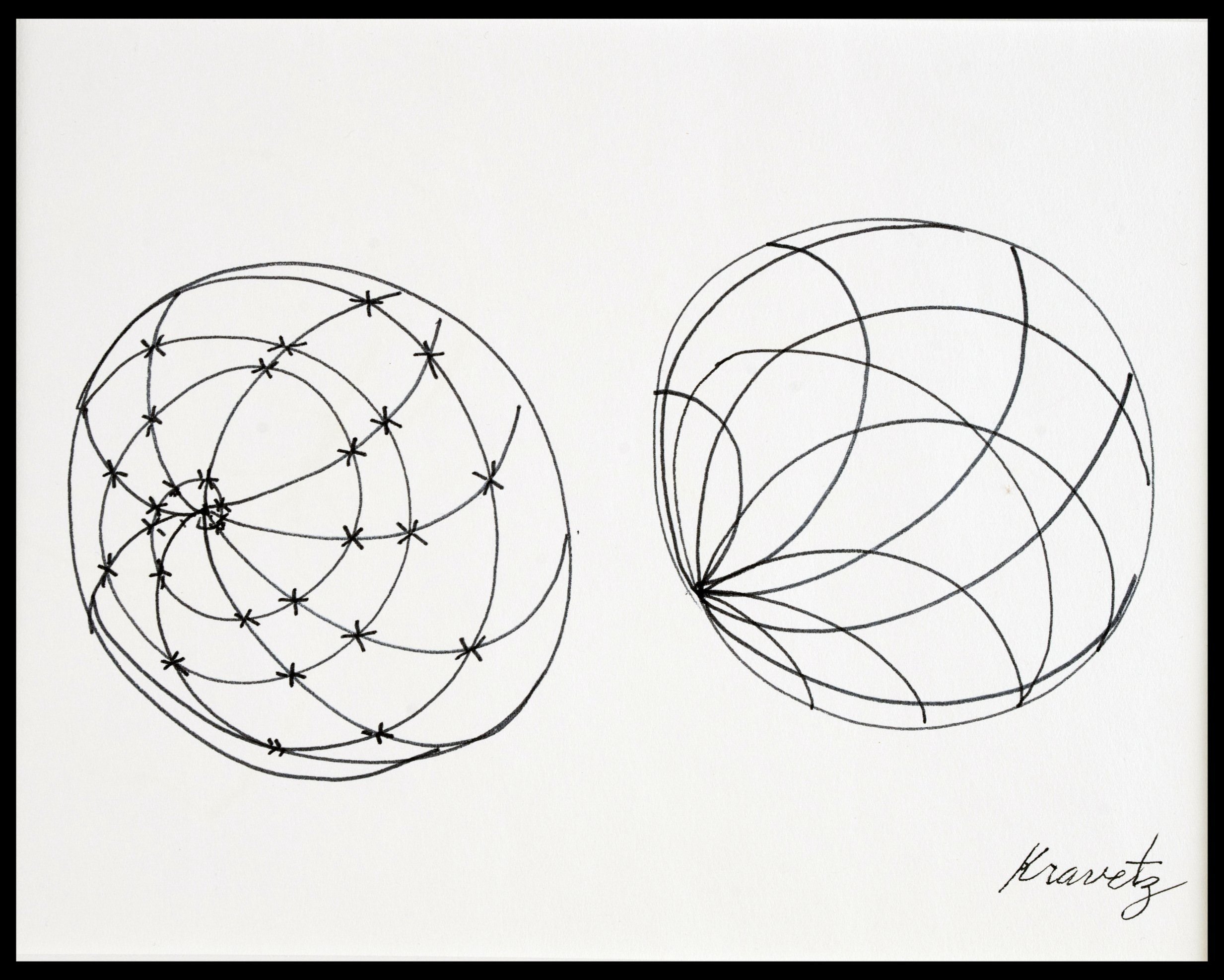 Barrel Cactus II, 1986, ink on paper, 20x16 inches with mat