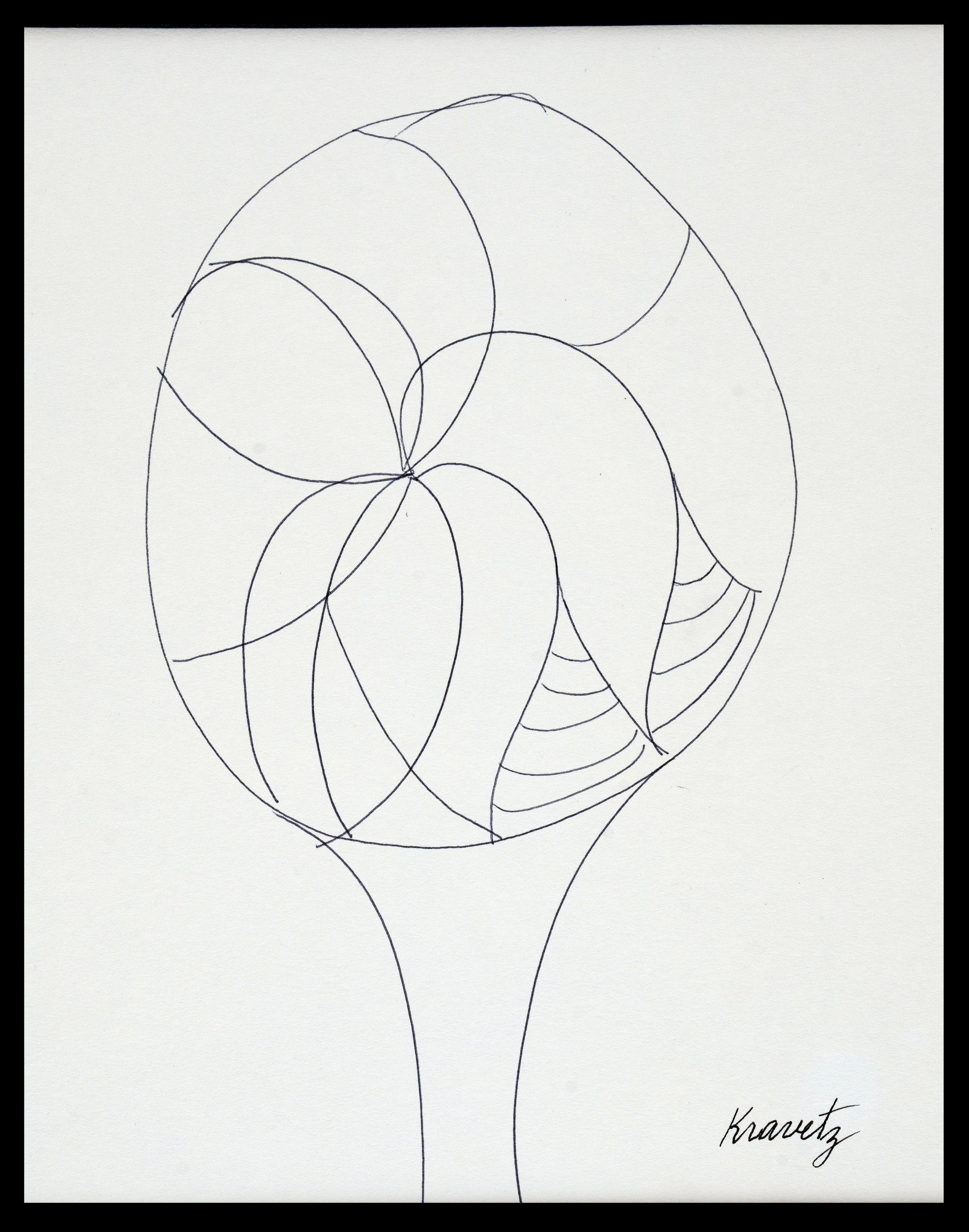 Whorl Pattern, 1986, ink on paper, 20x16 inches with mat