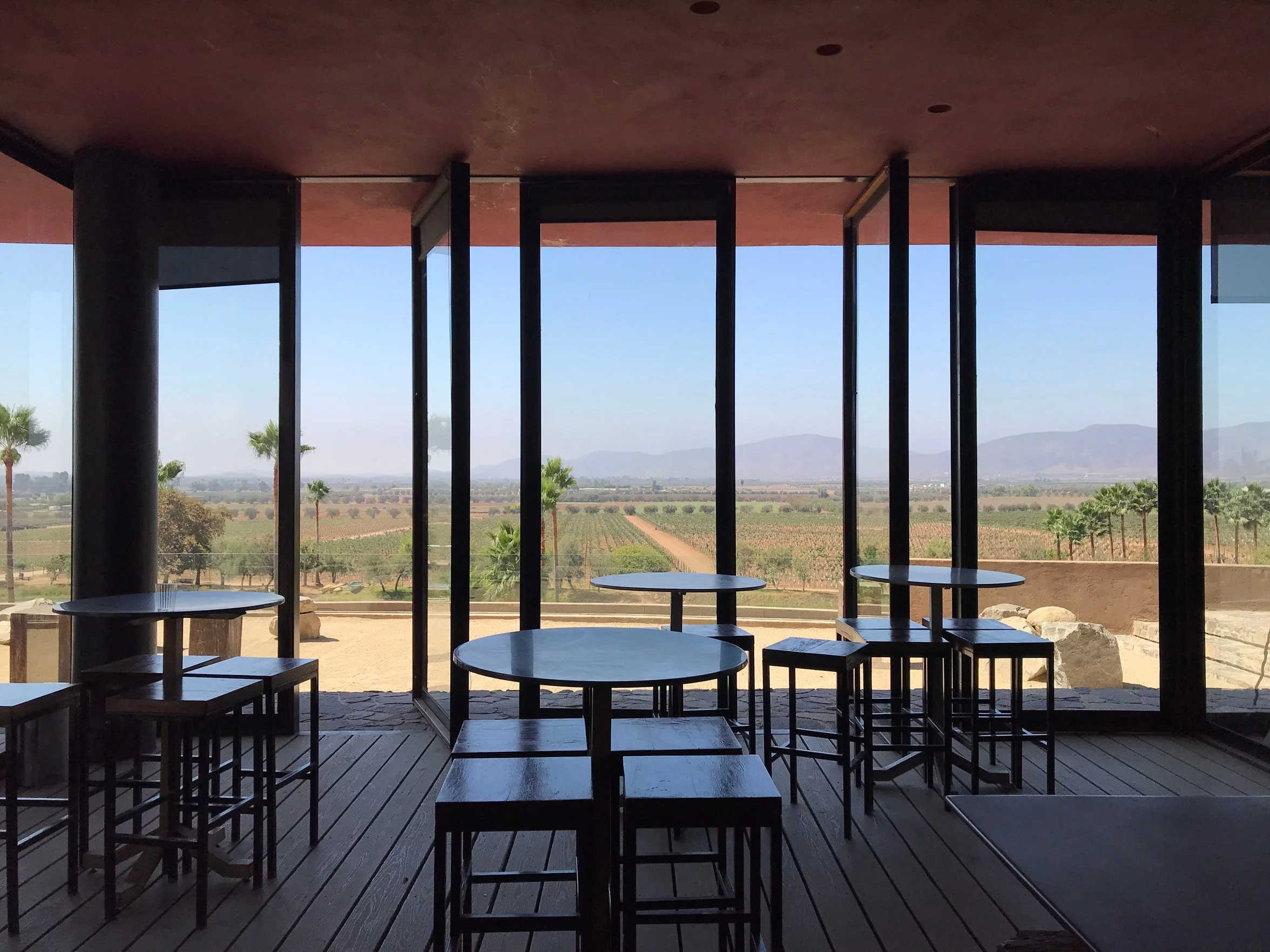 Guadalupe Valley is the wine region you need to visit