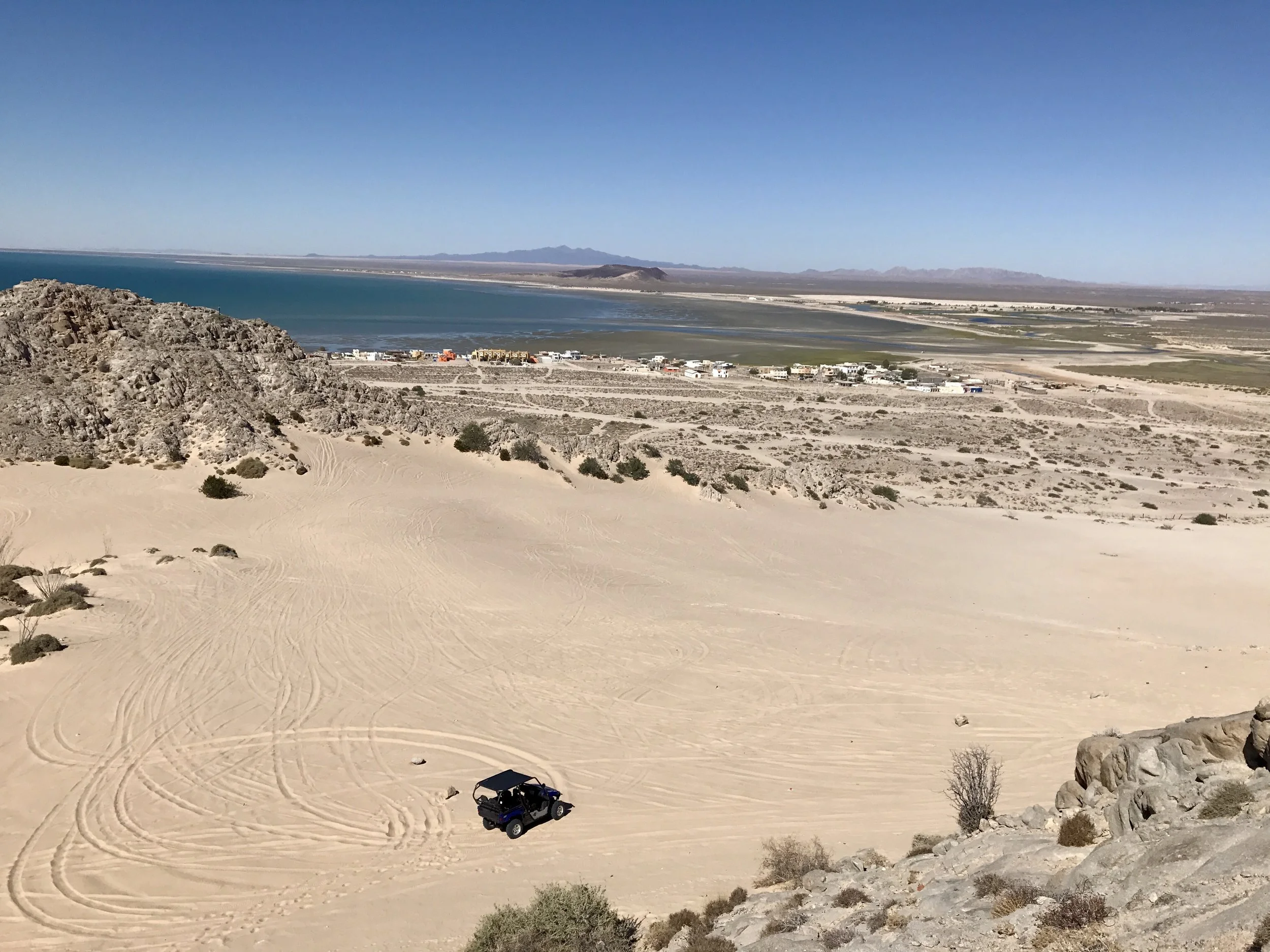 There are many places to rent ATVs, and Rick Marino rented one to explore Cholla Bay to the north.
