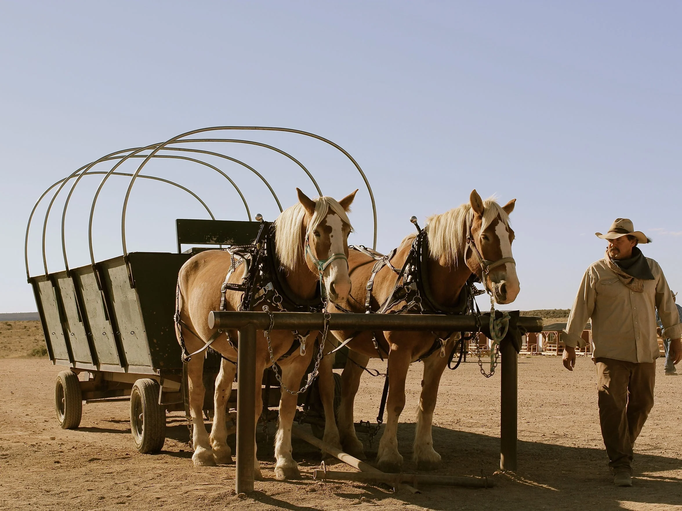 When visiting Oatman, Ariz., you’re likely to see more donkeys than people.