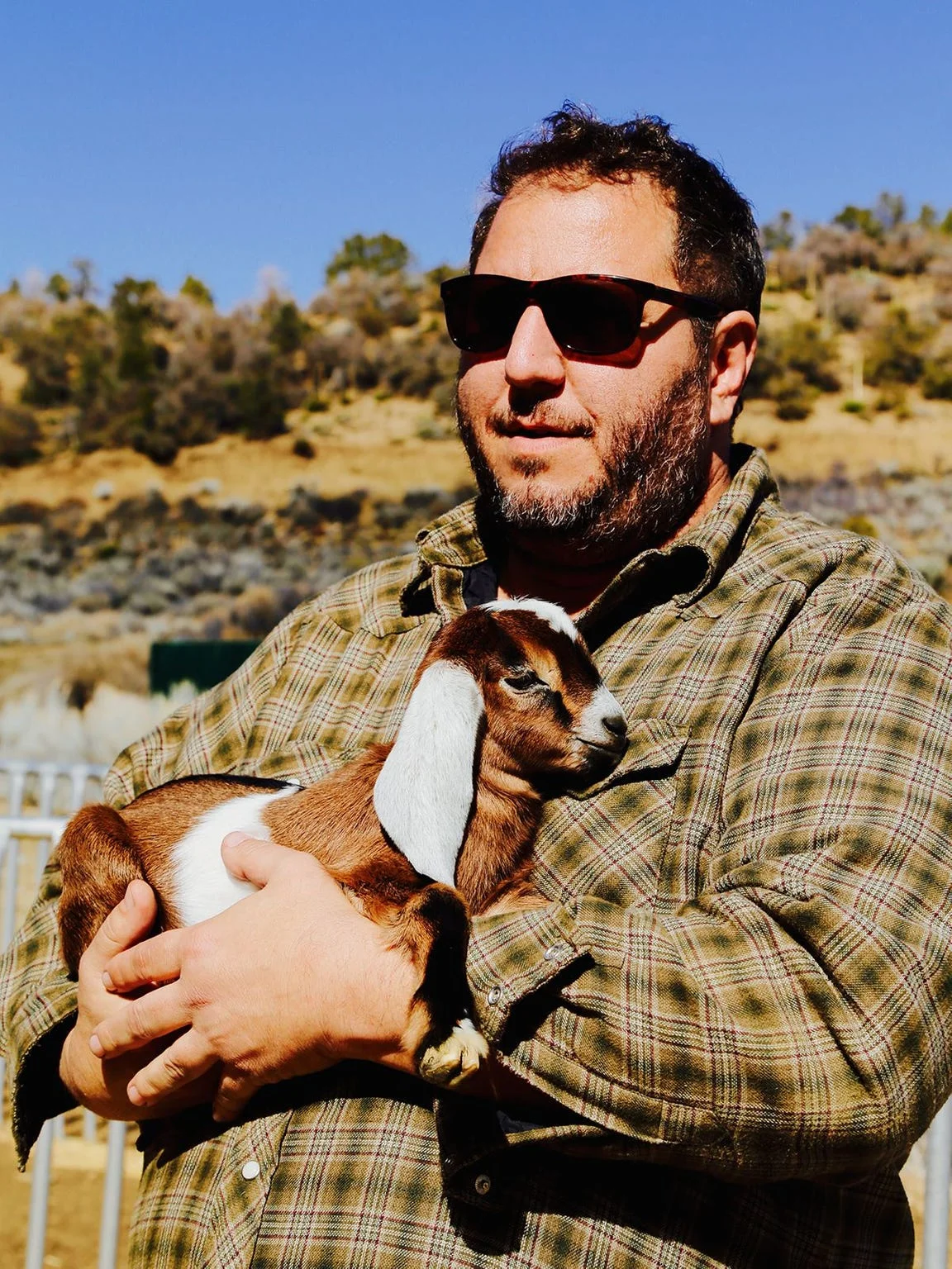 Road trip to regenerative goat ranch Angeles Crest Creamery