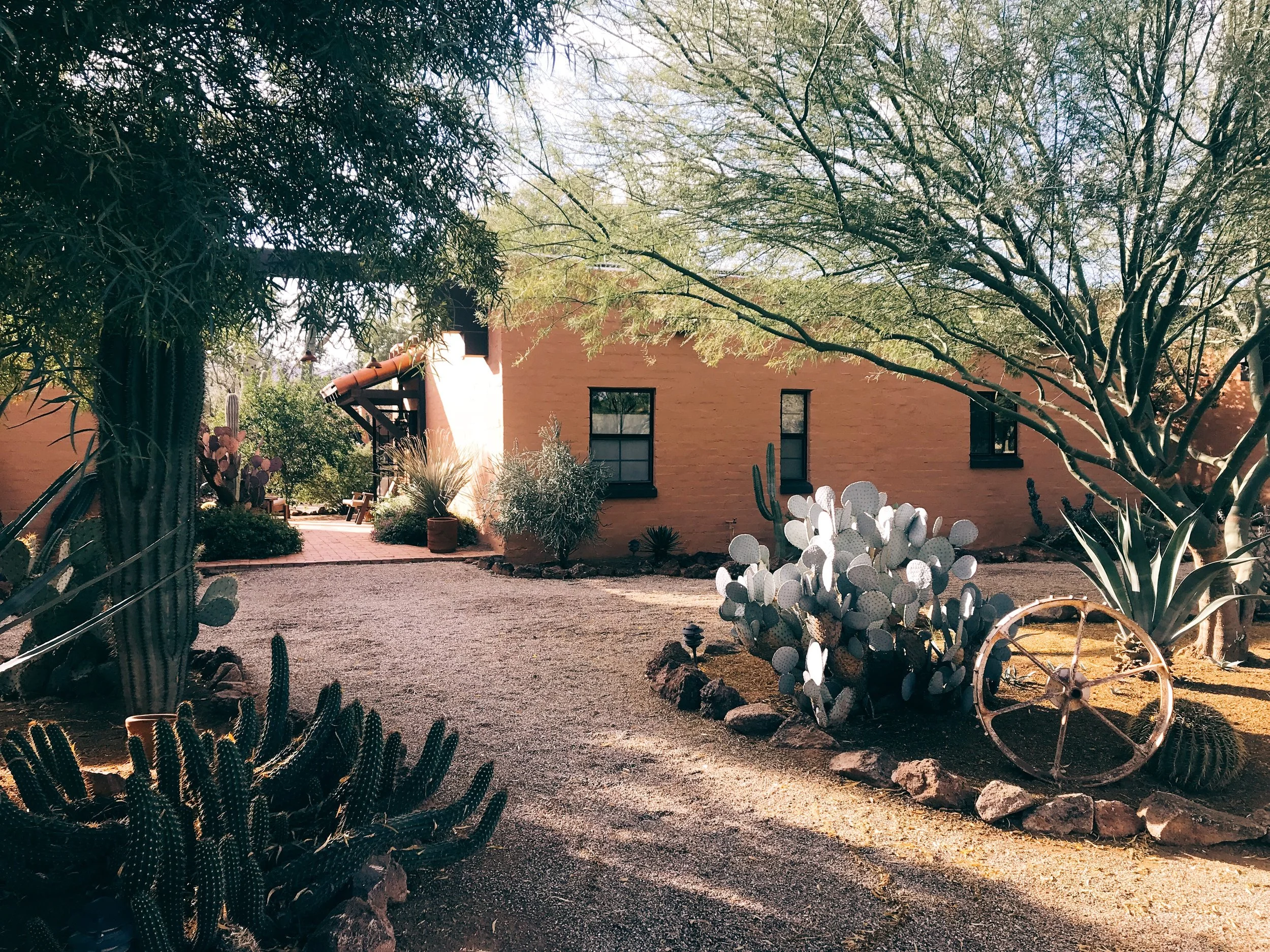 Stay at Rancho de la Osa in Sasabe, Ariz.