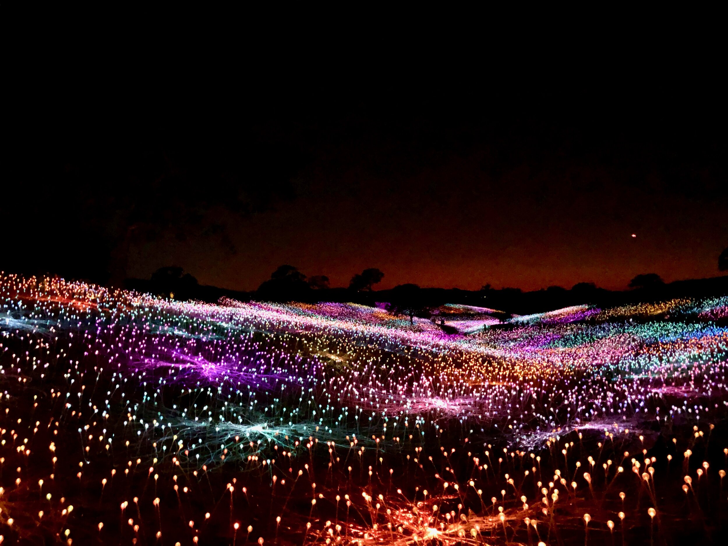 “A Field of Light” by Bruce Munro at Sensorio