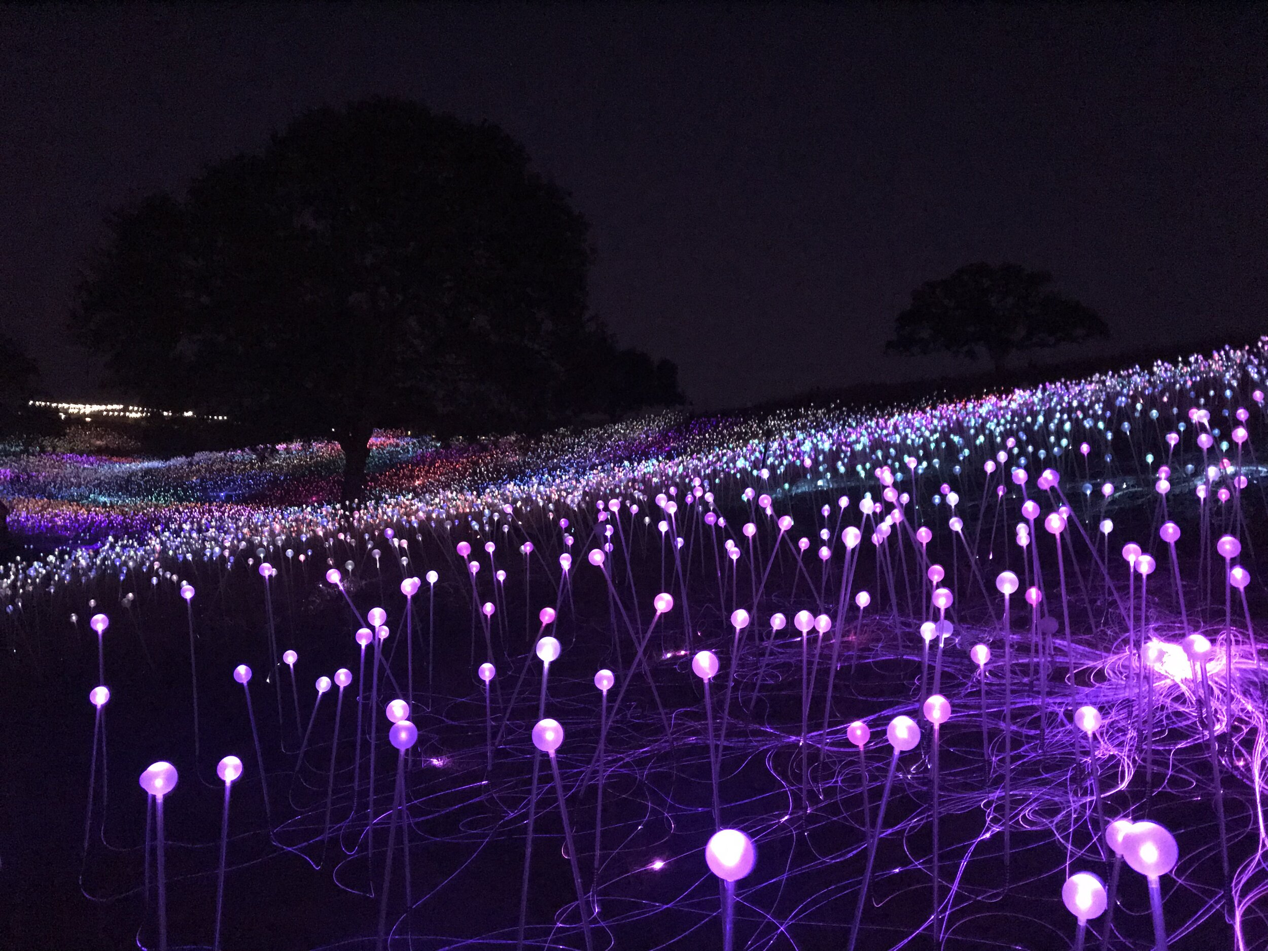“A Field of Light” by Bruce Munro at Sensorio