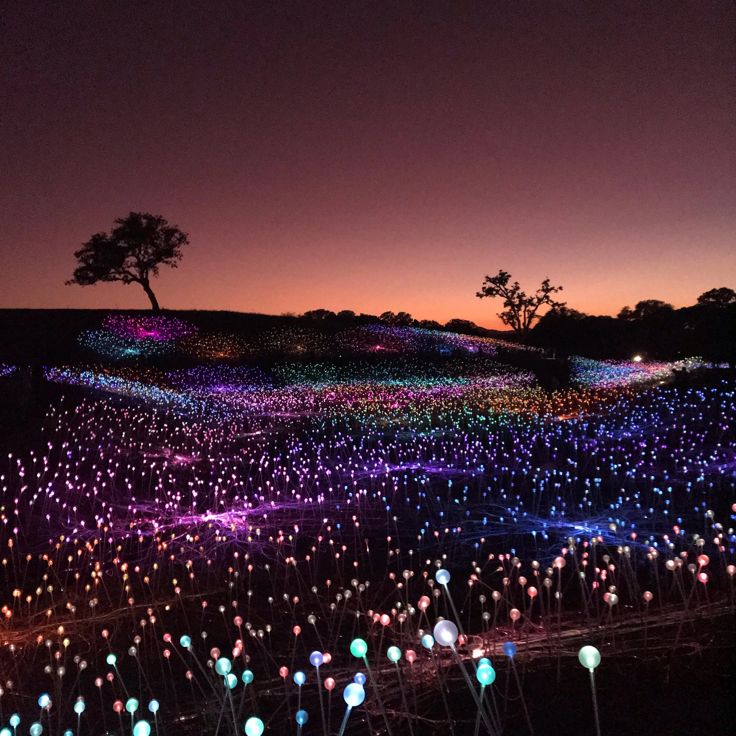 There's more than just wine in Paso Robles. Go now to see 'A Field of Light' installation.