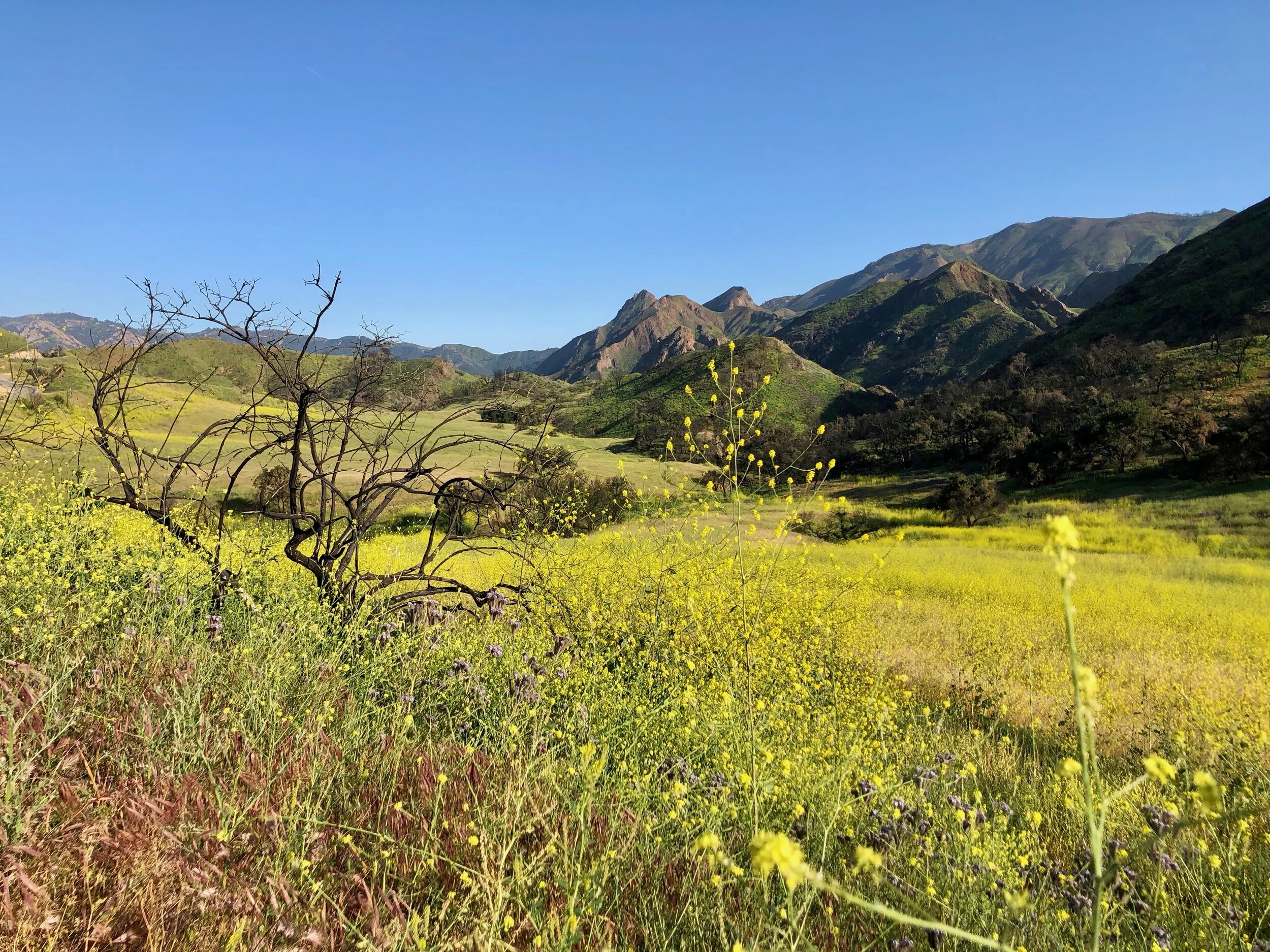 In the Santa Monica Mountains, Kanan Dume Road is one of the easiest roads to get to and from Malibu from the San Fernando Valley.