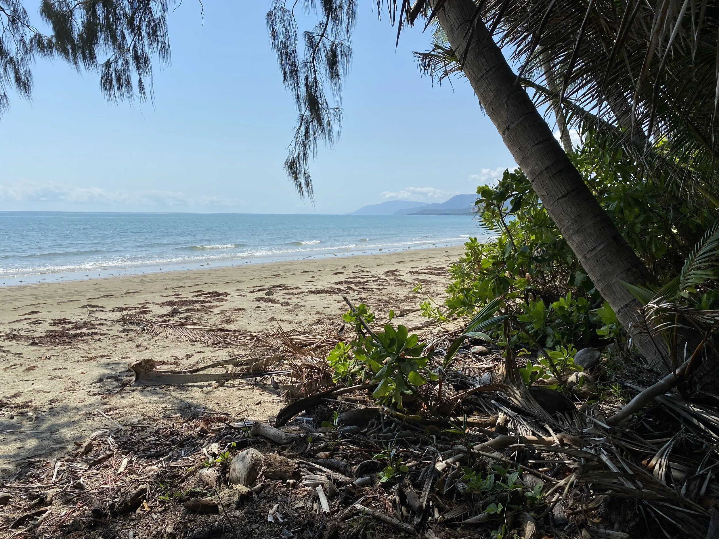 How to road trip up coastal Queensland in Australia