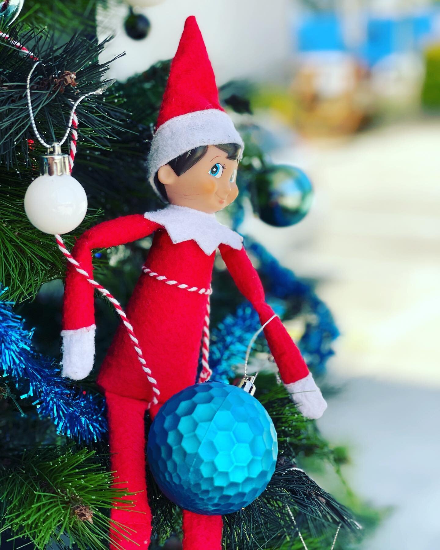 Easton the Elf has been a bit naughty today - after popping his balloon and spread glitter everywhere 😱 he then abseiled the Christmas tree 🎄 
#elfontheshelf
#eastonelf
#everygymnastcounts