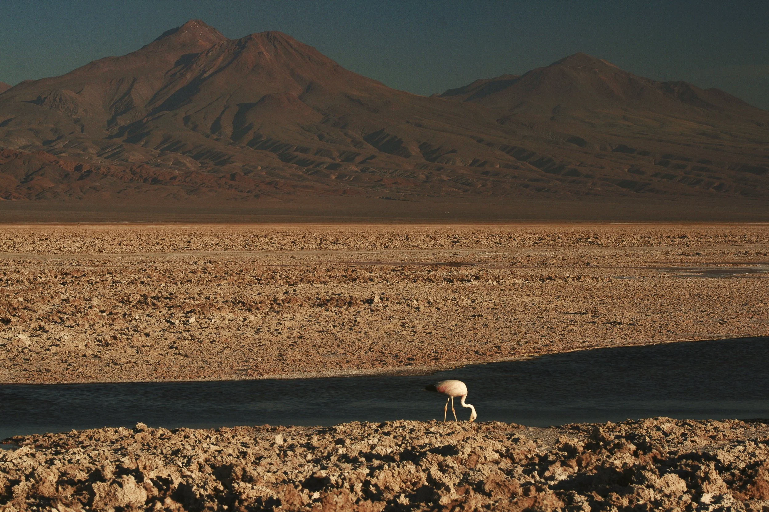 atacama.jpg