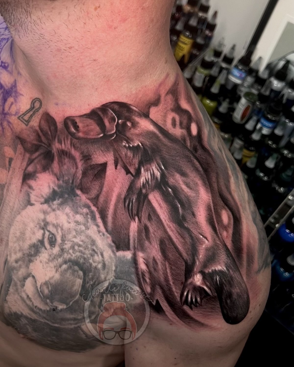 Had the pleasure of adding to Bay’s collection and filling in the space across his shoulders to connect his existing tattoos. My first time tattooing a platypus and a sugar glider pretty sure! Existing tattoos on the chest aren’t by me. T