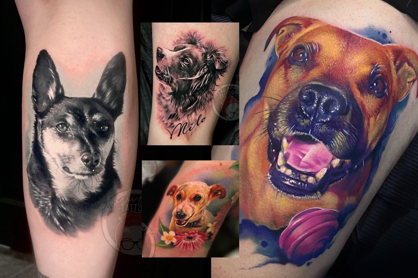 Absolutely honoured to be trusted with your beloved pet portrait tattoos. Here’s a few from over the past few years.
I always enjoy tattooing these adorable faces and would love to have the opportunity to tattoo more!
Please feel free to send