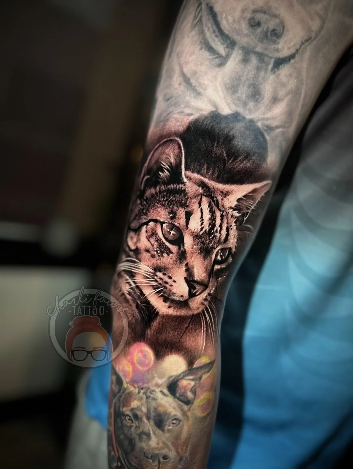 Thanks for the trust Zavier with your beautiful Harry 🐈🖤 such amazing stripes in his markings! Placed him above Lincoln and Topaz we tattooed a couple of years ago 🫧
•
•
Please feel free to fill out a booking form via charlifaure.com ?
