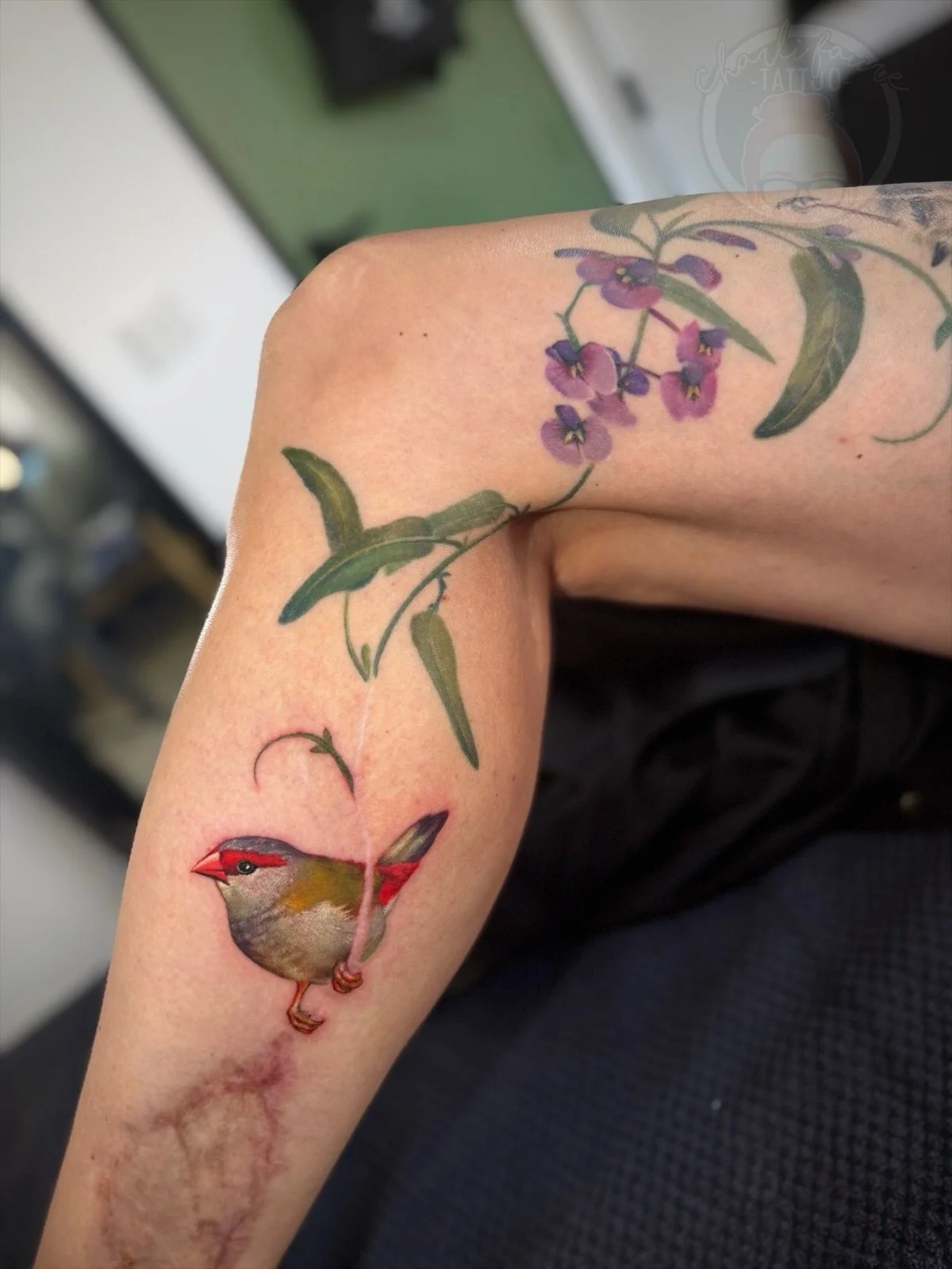 Thank you Jen for the continued trust with this beautiful project. I am loving this Red Browed Finch addition to this gorgeous extension to her surgical scars down her leg. The purple coral pea, scarlet robin and blue wren are all healed 💕

Please f