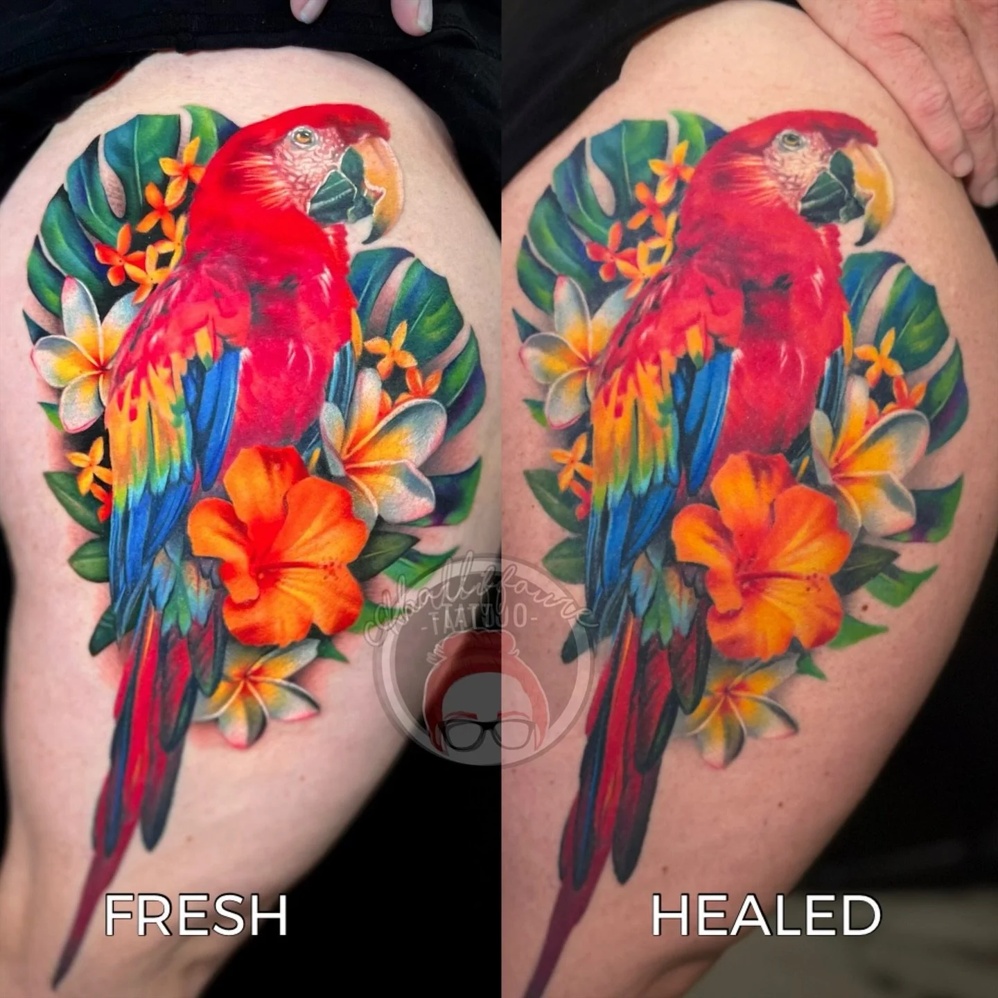 Fresh vs healed comparisons are some of my favourite posts. I love seeing tattoos healed and settling over time 💕 Thank you for everyone sending me healed photos recently. I&rsquo;ll be posting more soon!

Please feel free to fill out a booking form
