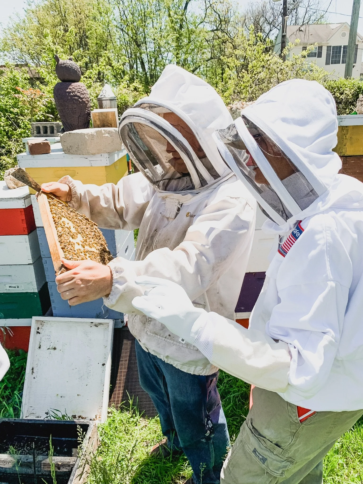 Become a Pollinator 2025 — The Well