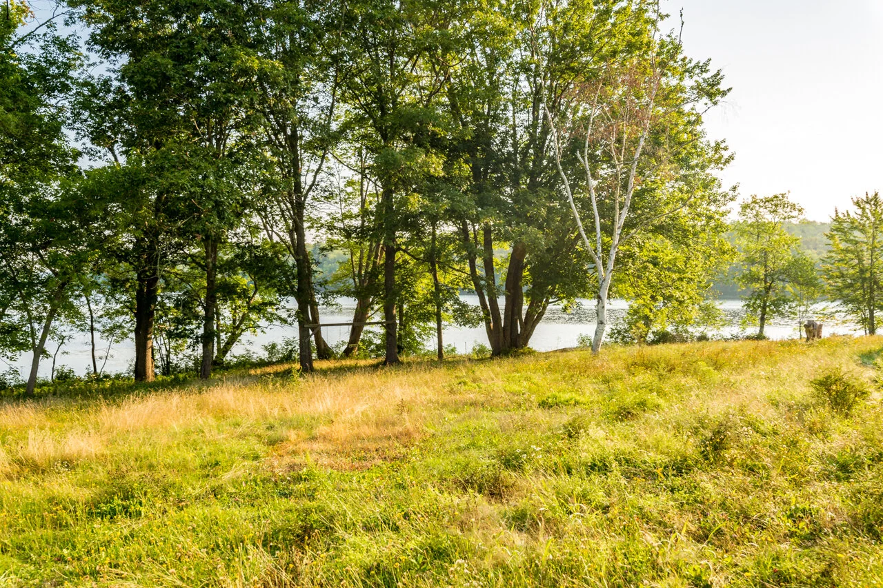 3779 Royte 845-Kingston-sale-Listings-Realtors-Estate-Properties-Homes-Selling-Buying-Staging-High End-Land-Acres-Century 21-Shawn-tucker-real-estate-houses-sale-West-Saint-John.jpg_-4.jpg