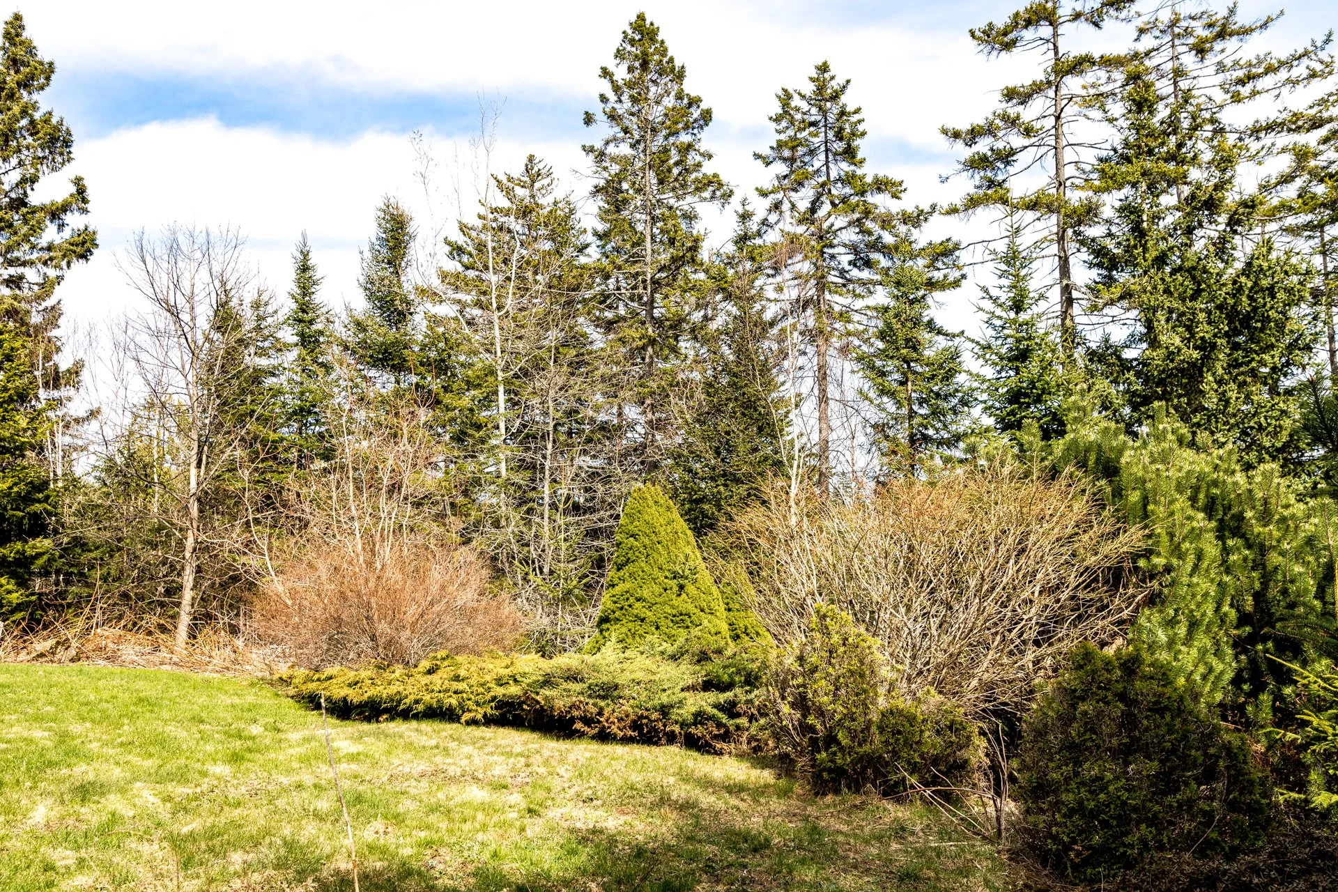 Foster Thurston, Saint John,  NB, Century 21-3.jpg