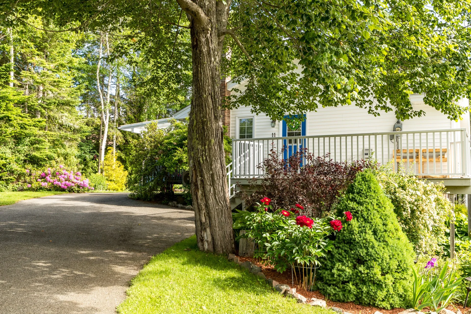 11 Woodside, Century 21, Saint John, Shawn Tucker, Shawn Tucker Premium Real Estate, The Premium Crew-2.jpg
