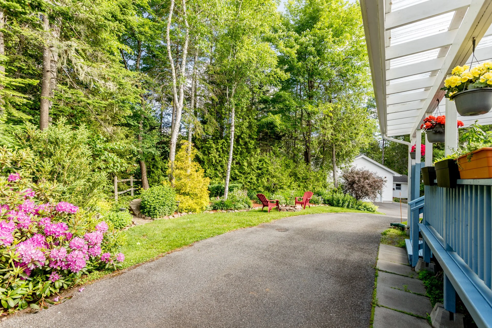 11 Woodside, Century 21, Saint John, Shawn Tucker, Shawn Tucker Premium Real Estate, The Premium Crew-4.jpg