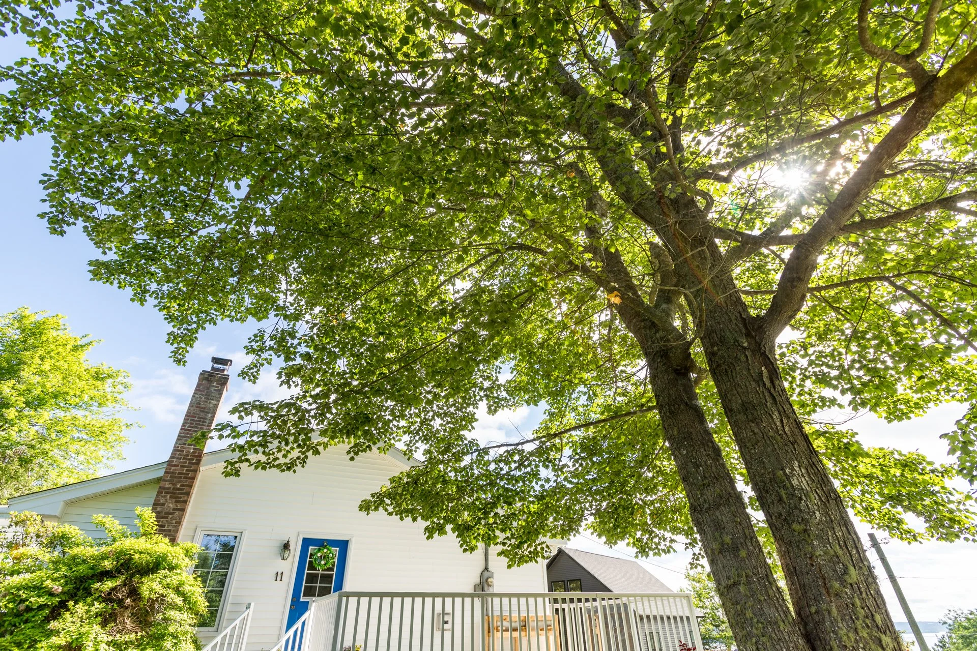 11 Woodside, Century 21, Saint John, Shawn Tucker, Shawn Tucker Premium Real Estate, The Premium Crew-12.jpg