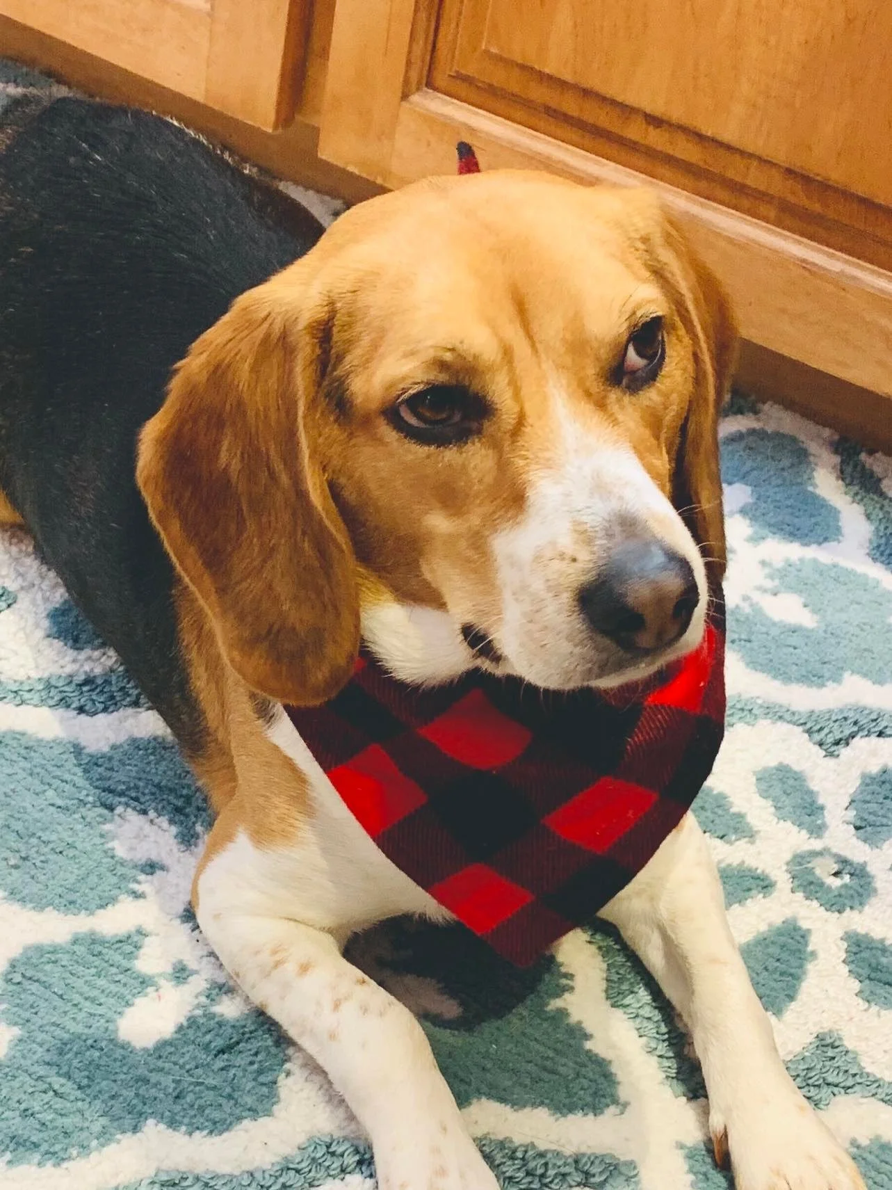 293077889_697133281380439_9108264296099012867_n.jpeg