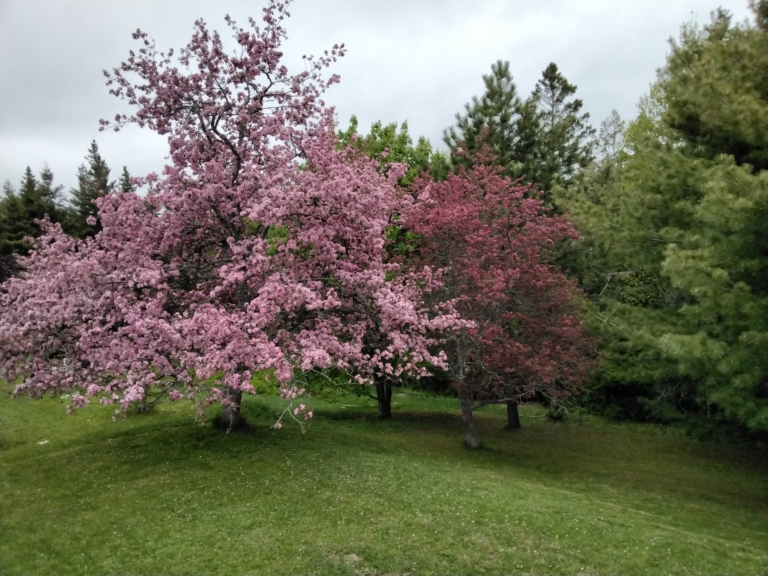 20230526_084301.jpeg