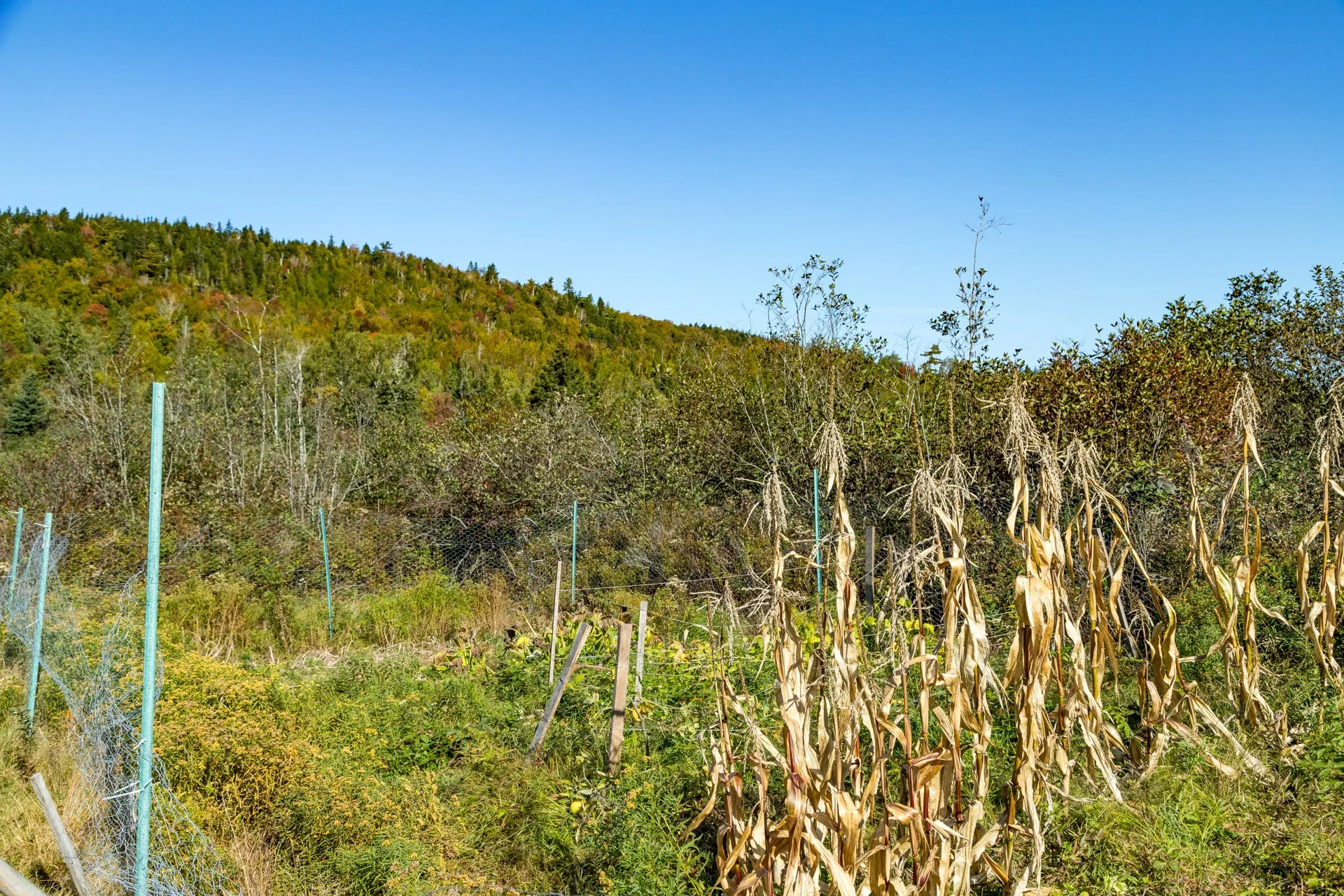 exp, exp realty, saint john realtors, realtors in saint john, quispamsis, rothesay, premium, shawn tucker, 459 Bradley Lake, bradley lake-7.jpg