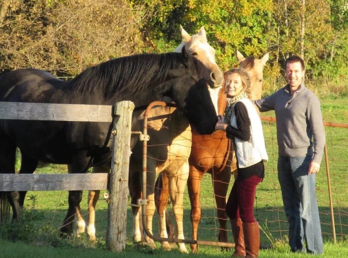Horses.jpeg