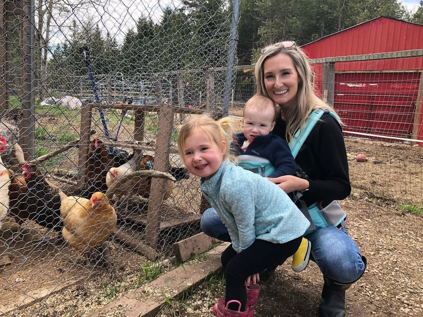 Chickens.jpeg