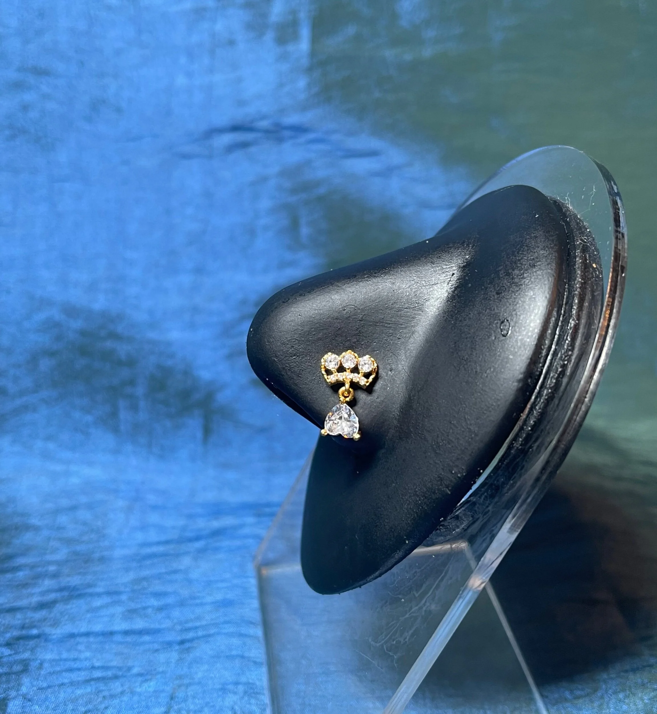 AC8683F1-268B-4AFC-AC87-B56B73A93250