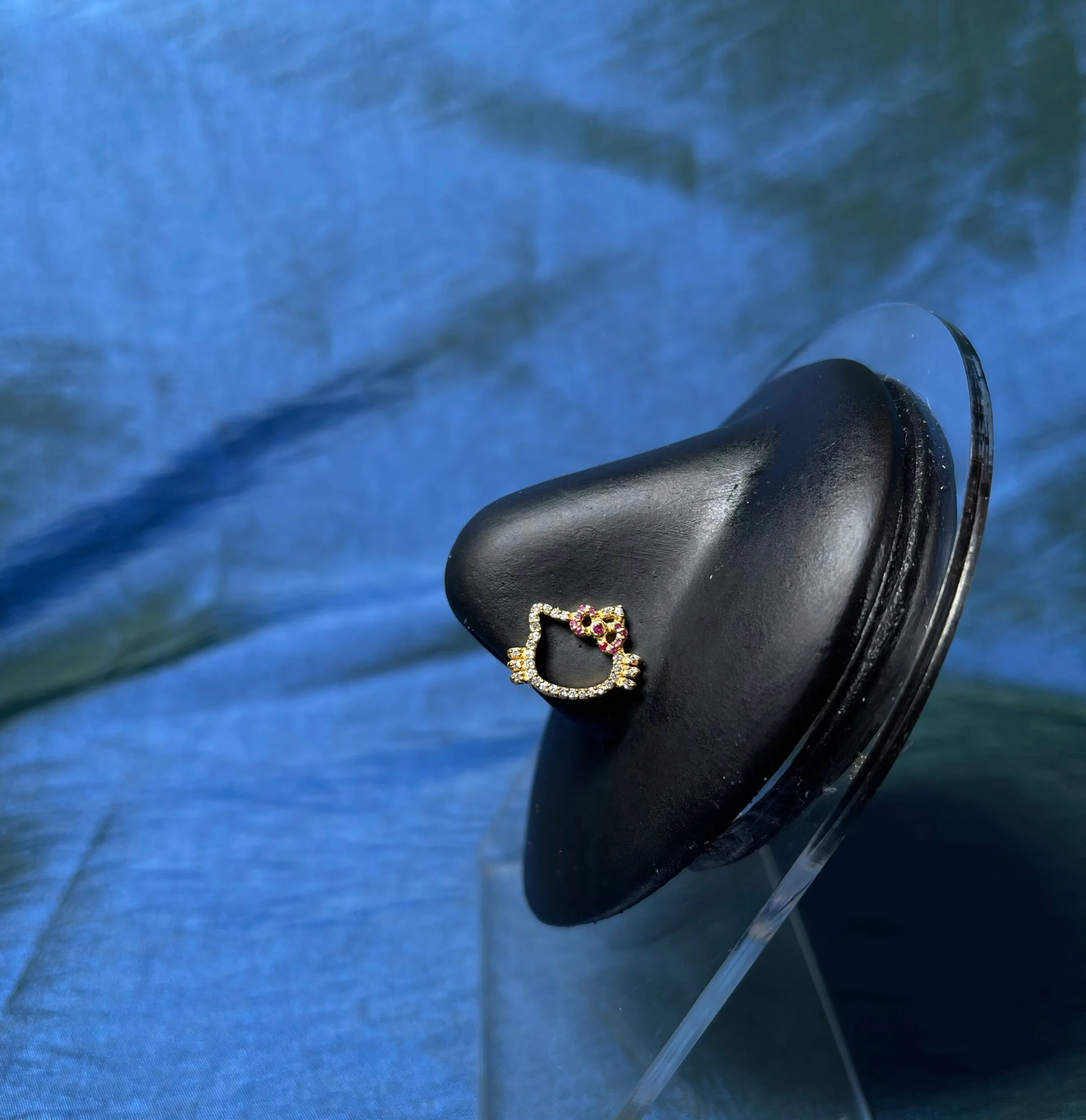 F5001C7B-BD48-4723-9B97-98078FDE7A8F