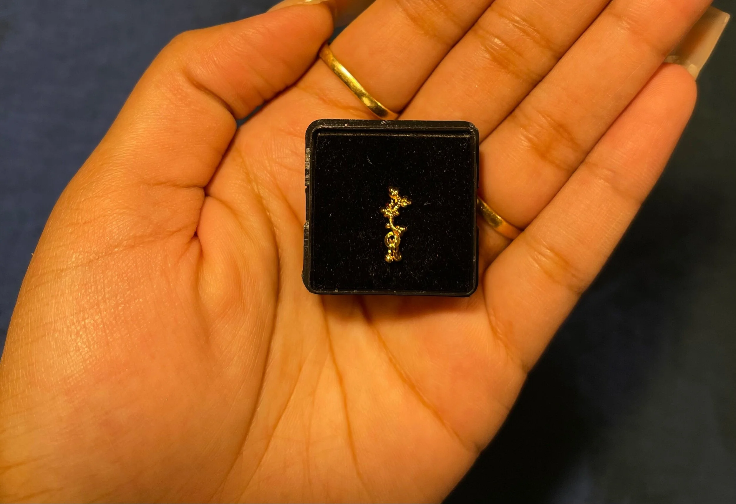 88D92AA3-6A1F-4C34-B4E3-7AA6EBA1EE08