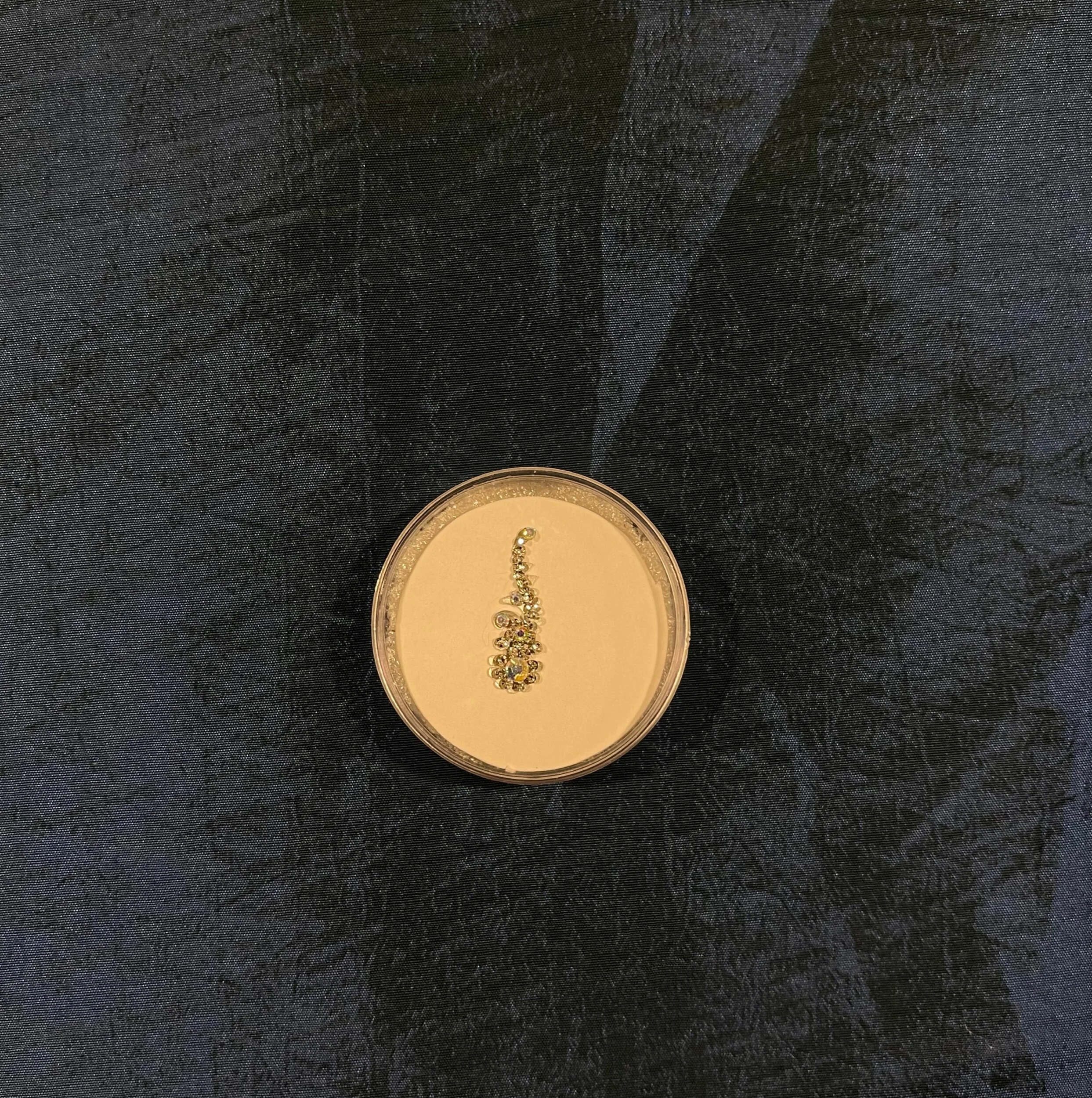 C28F74ED-7933-4A98-946A-9ABB8E1BAE4A