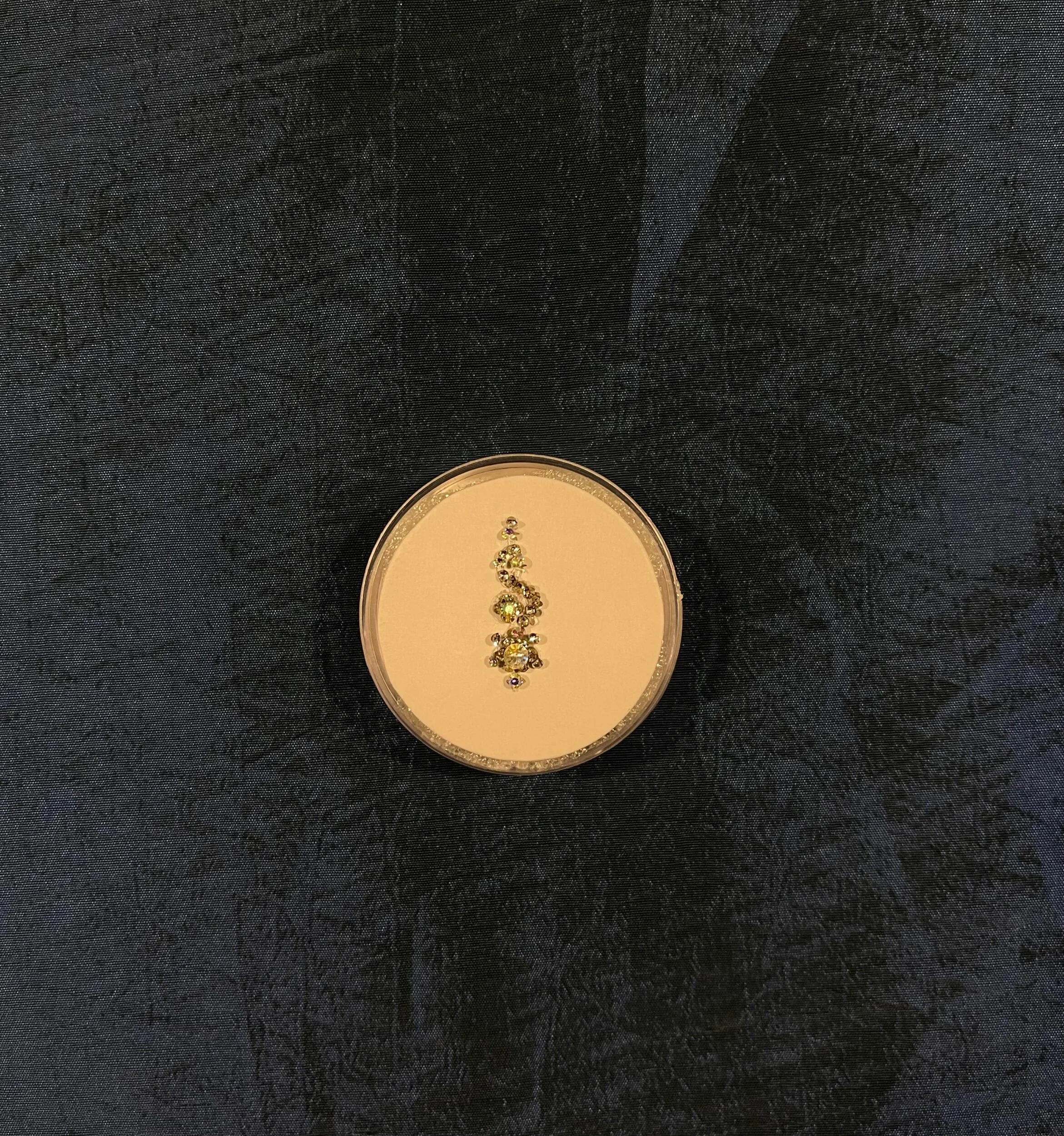 C8227D39-2F7A-4179-94CE-7D7E37EDA654