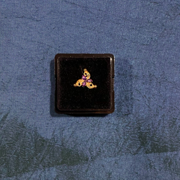 477071D9-3F60-4ABA-8135-DCBC7703403F