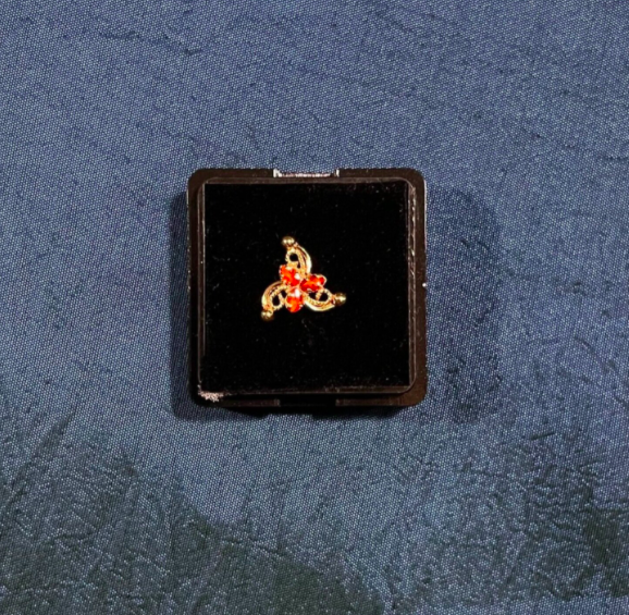 40C01625-669F-4990-ABD3-79A002FC41B6