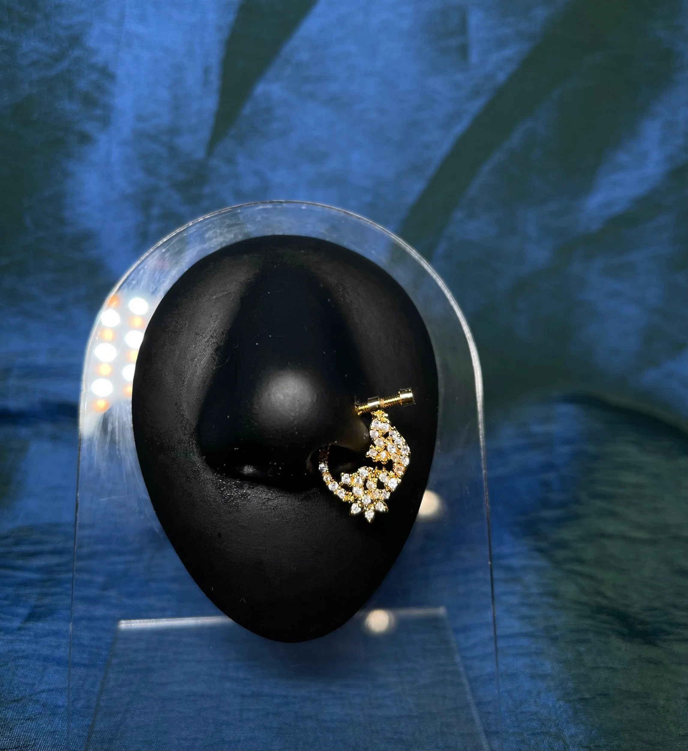 F74D8EC1-C41B-445E-8A63-B4F422079676