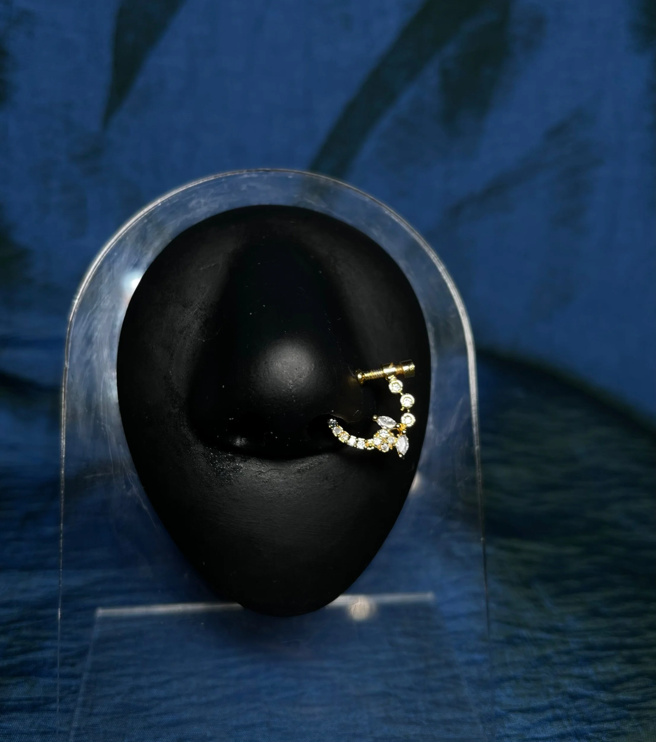 695B1AEB-20CC-44AB-BBA4-CADBFAE516A5