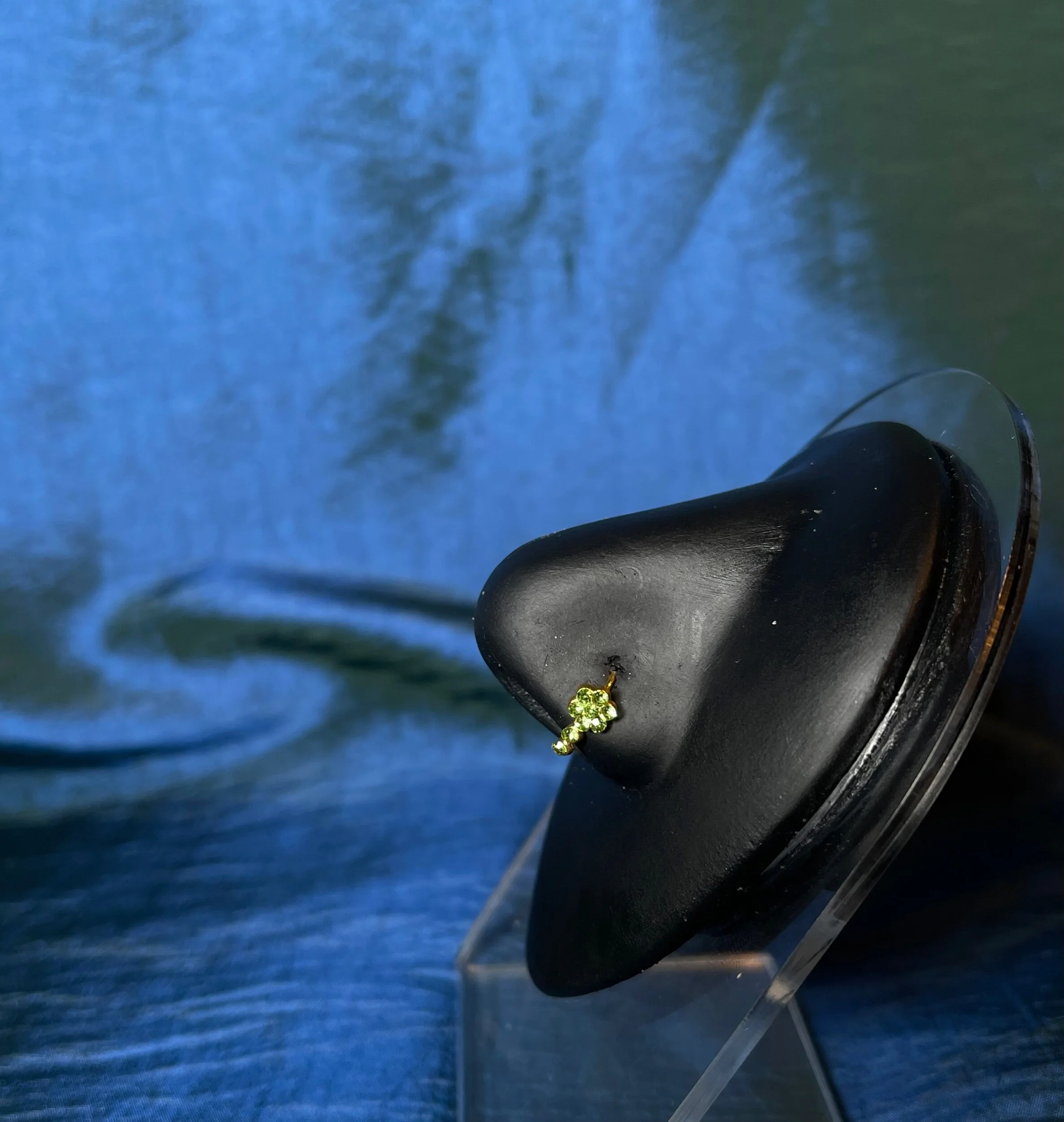 4EDC0484-88AE-4793-BCF3-8E180AA2E8DB