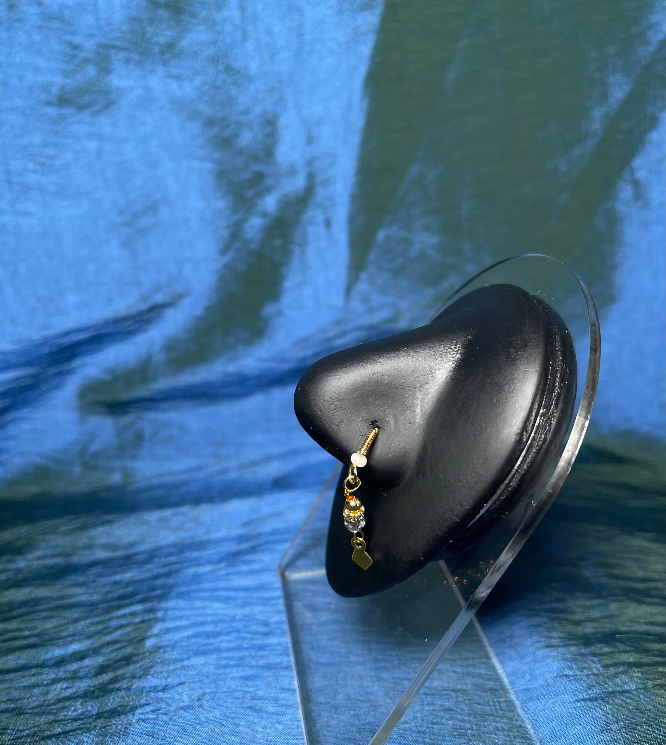 EEA247A6-33D0-435A-B22B-B4502868C29C