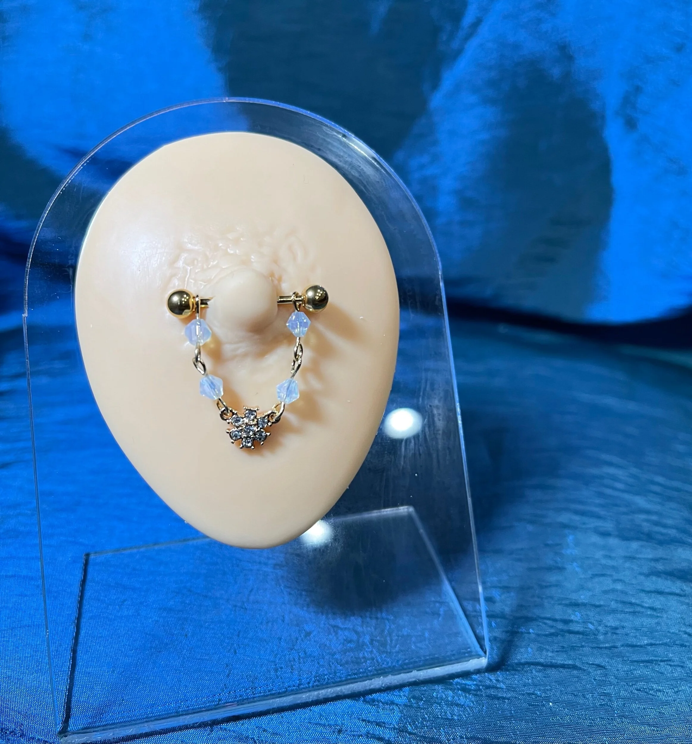 A08D221B-47DC-433C-8979-BDA396655A5A