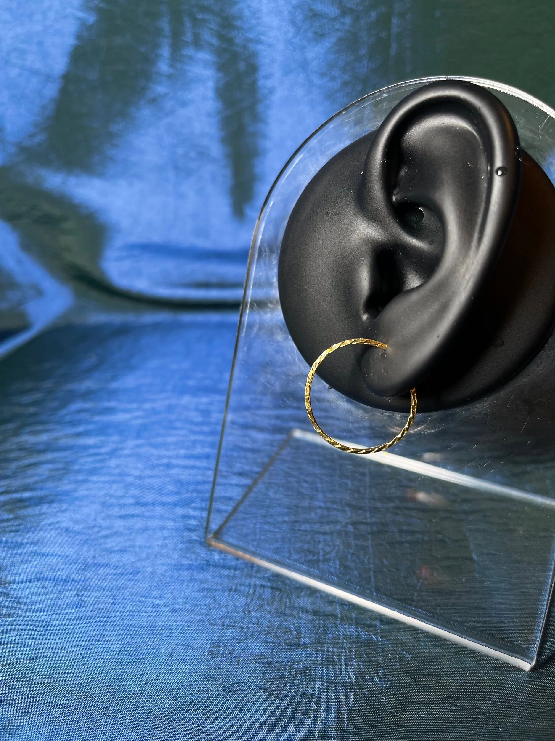 A1E13479-A043-4AD2-BE31-CB9BF37FF49E